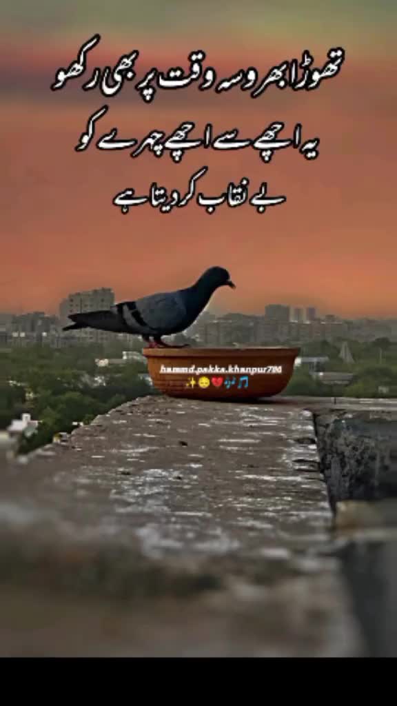@NOMI MALIK