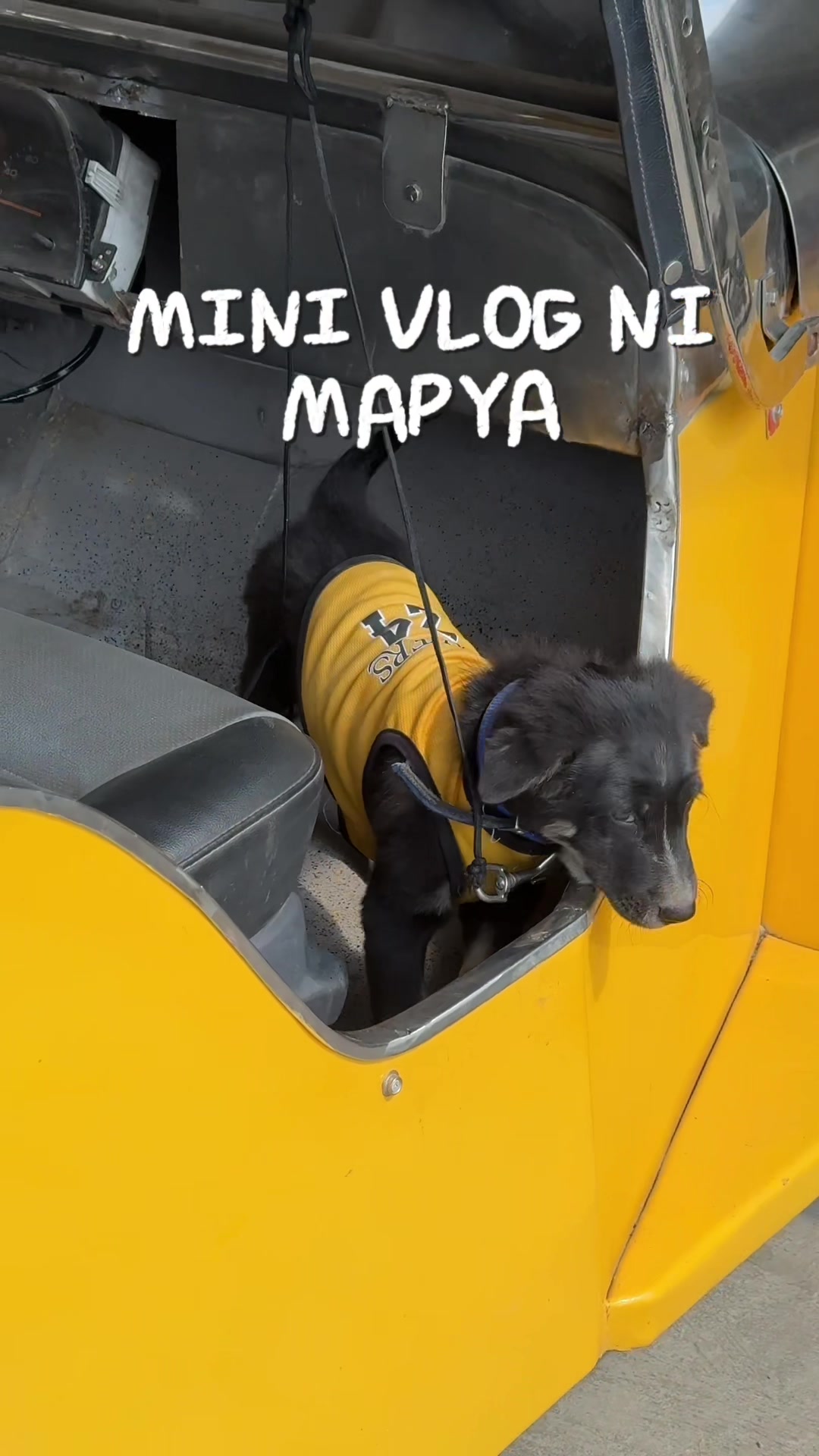 @Jayvee Mendoza