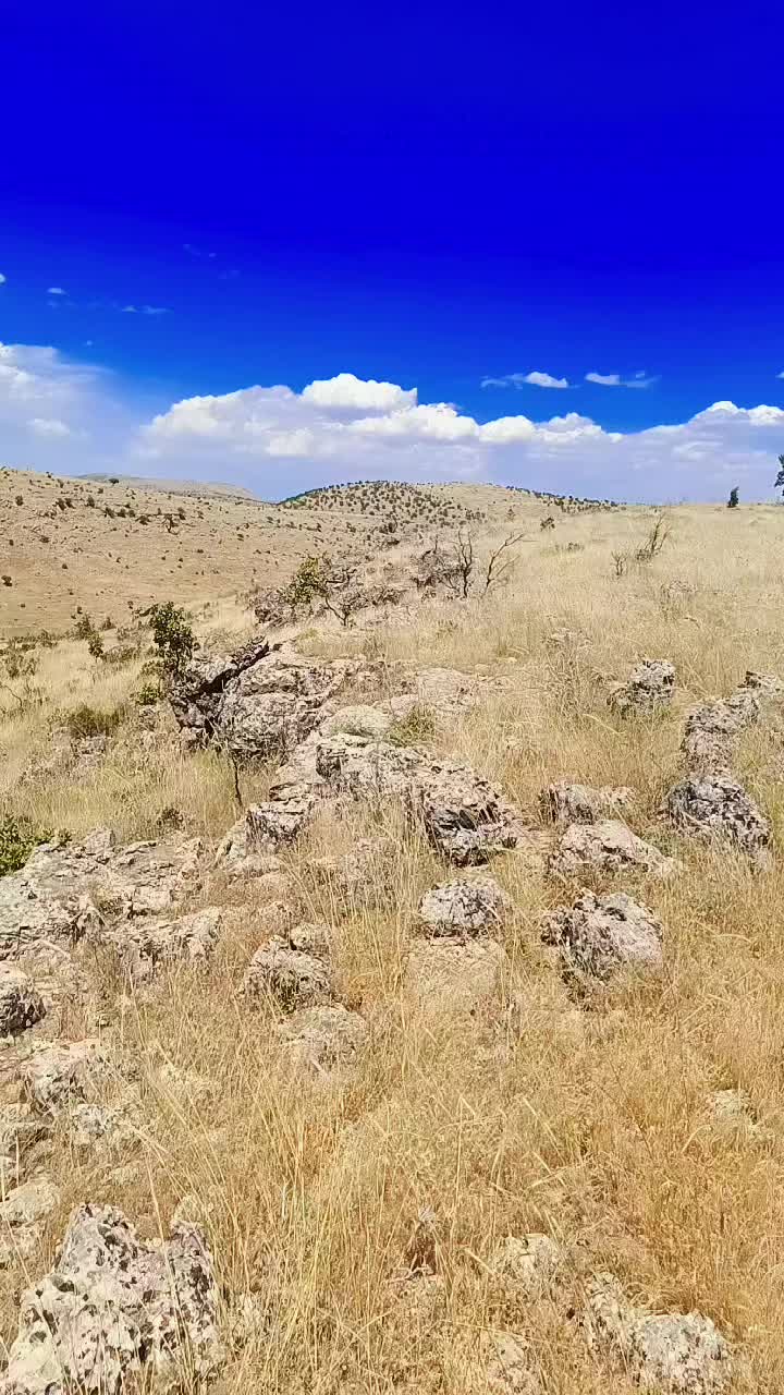 @Abdurrahim g&uuml;l