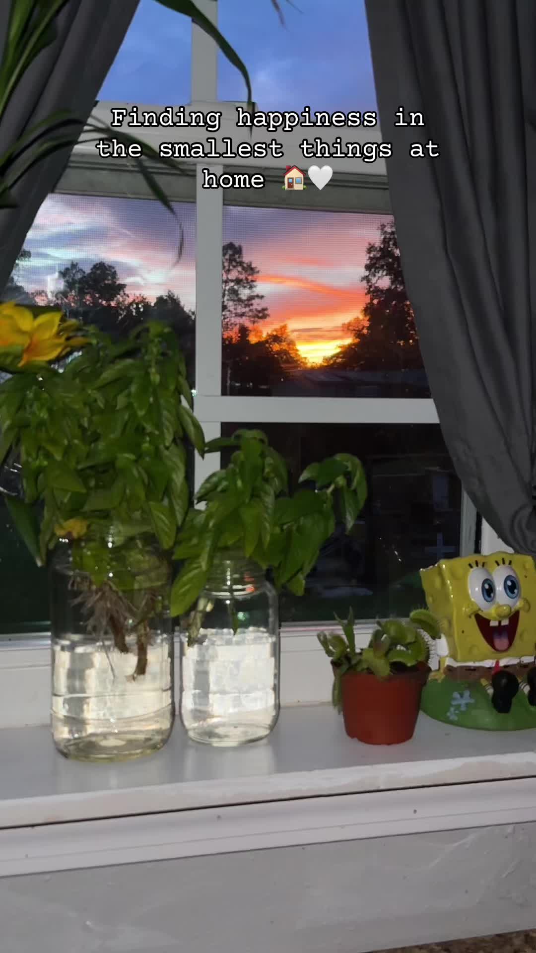 @lifewithspongy