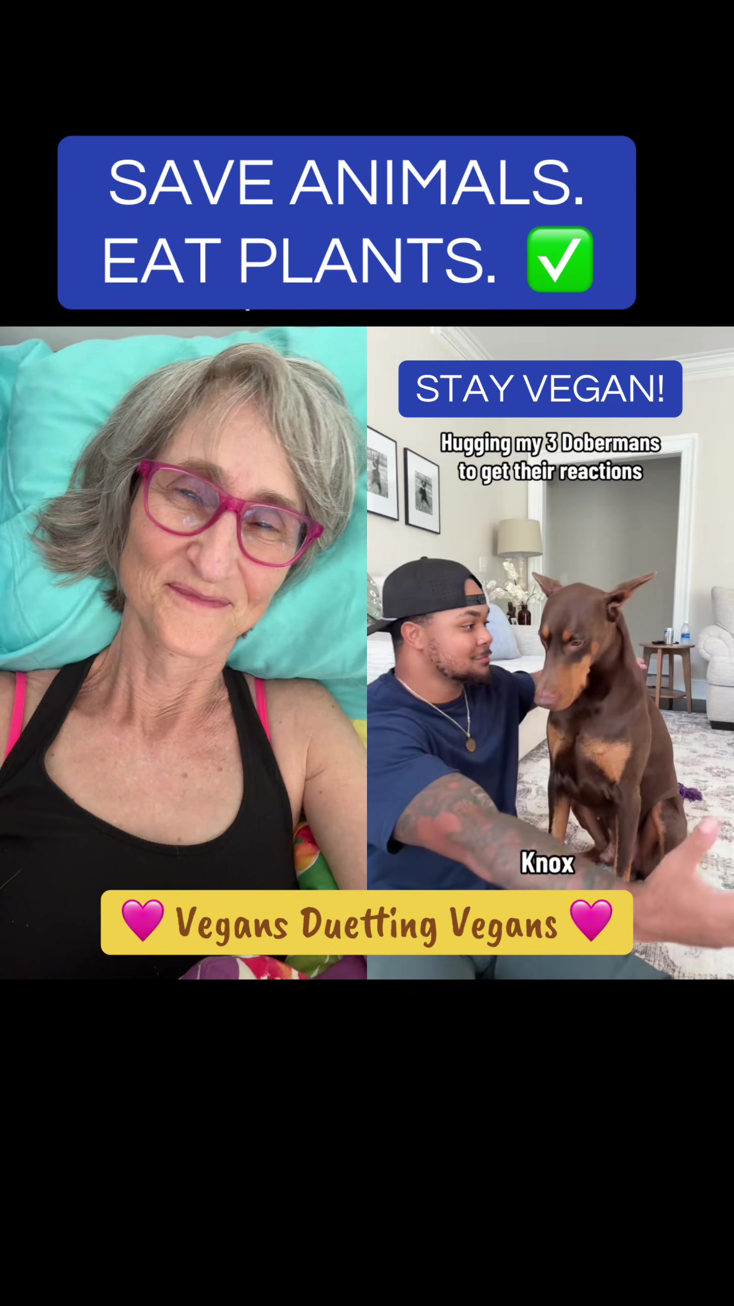 @That Vegan Teacher Miss Kadie
