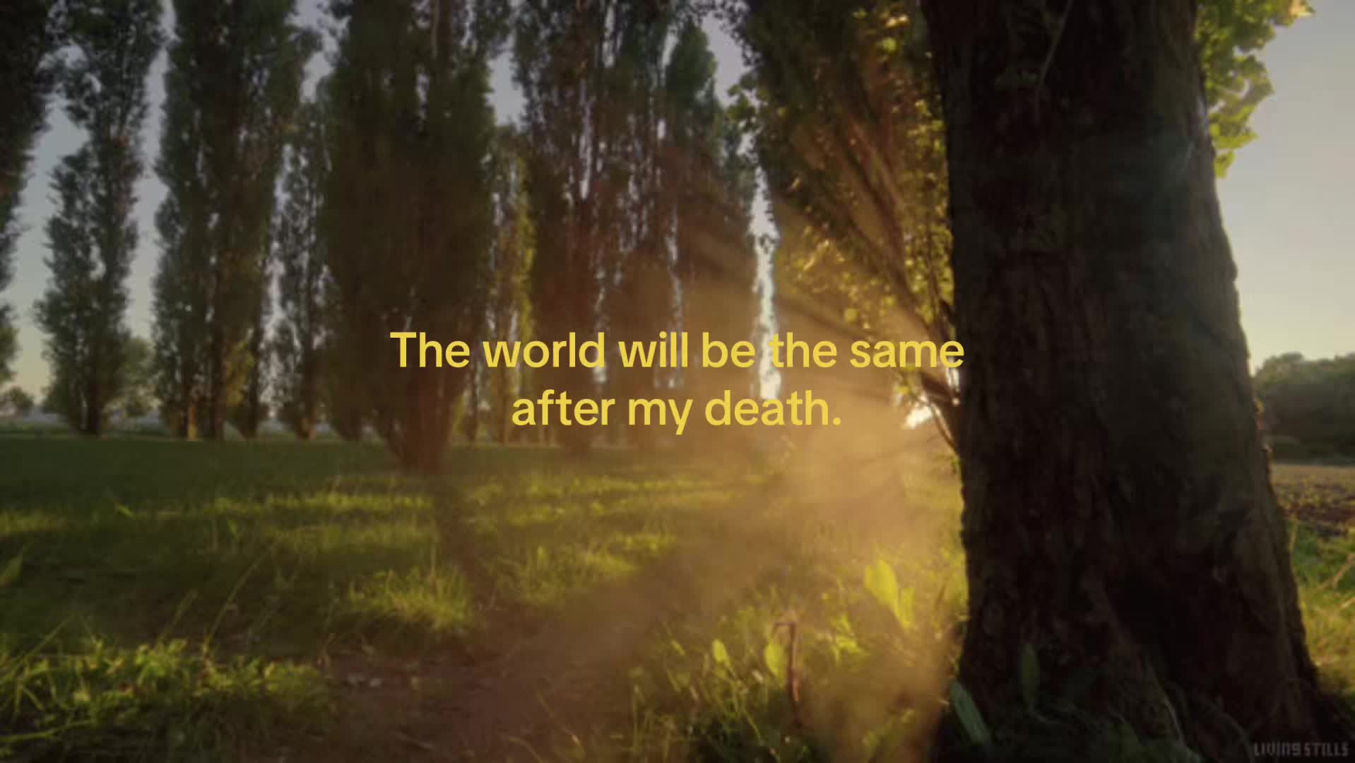 @&bull;𝐅&bull;𝐀&bull;𝐌&bull;𝐄&bull;