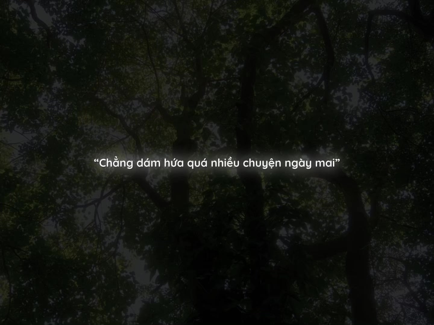 @𝙣𝙢𝙩𝙞𝙚𝙣