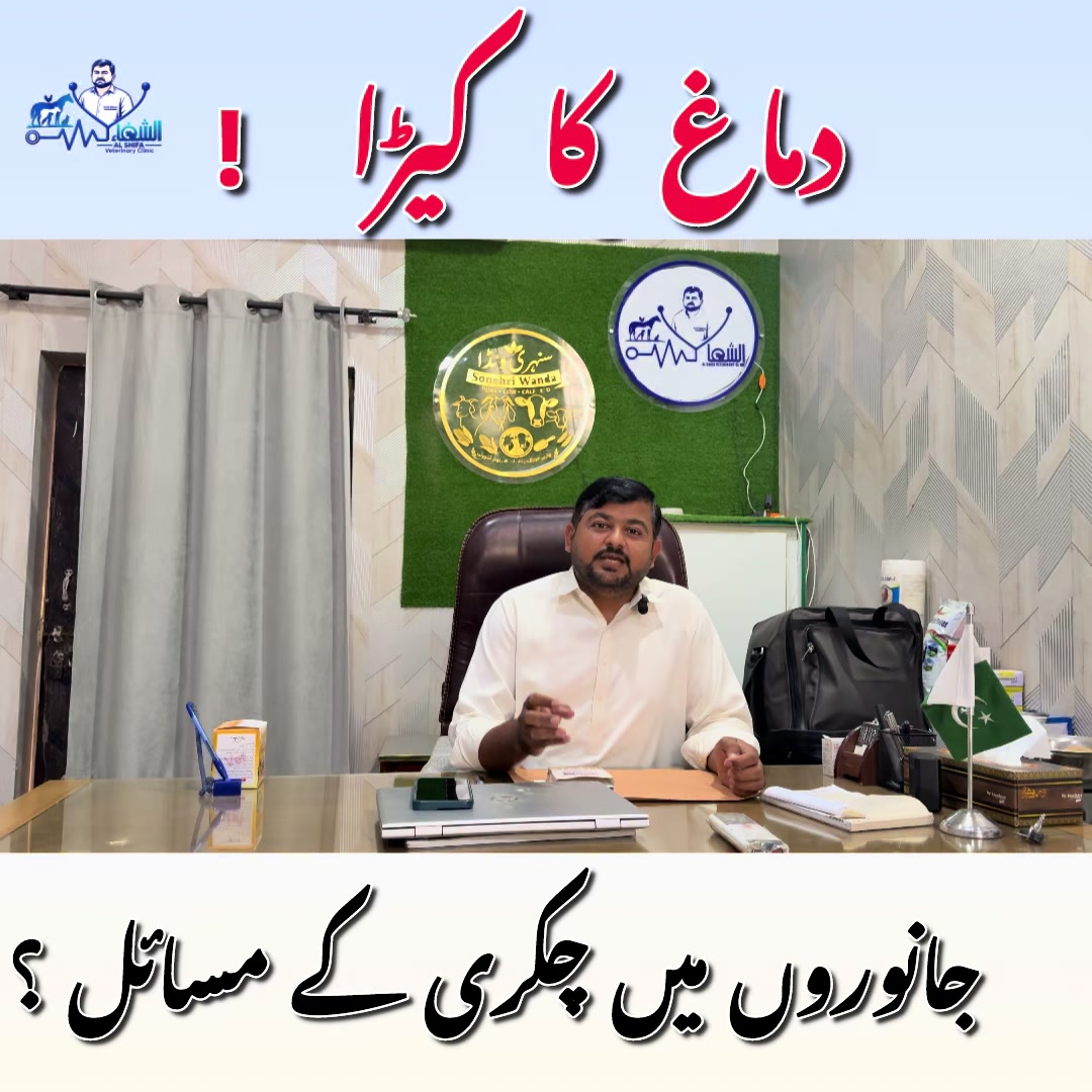 @Dr.Mohsin