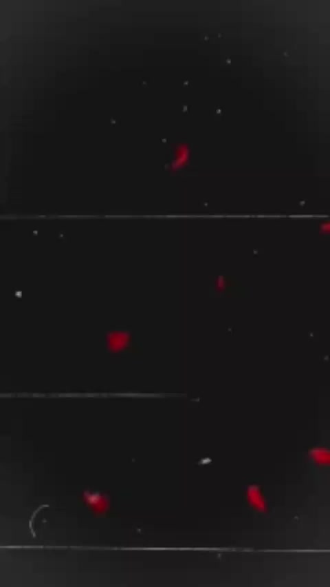 @Ꮋᴀɴsɪᴋᴀ❀🖤