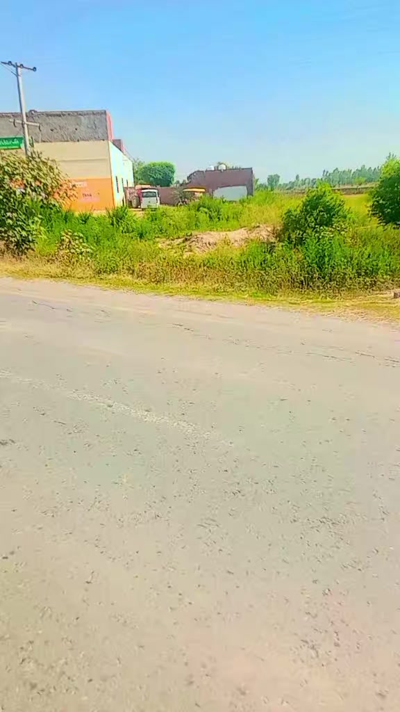 @🫅Afzal Manj🔓