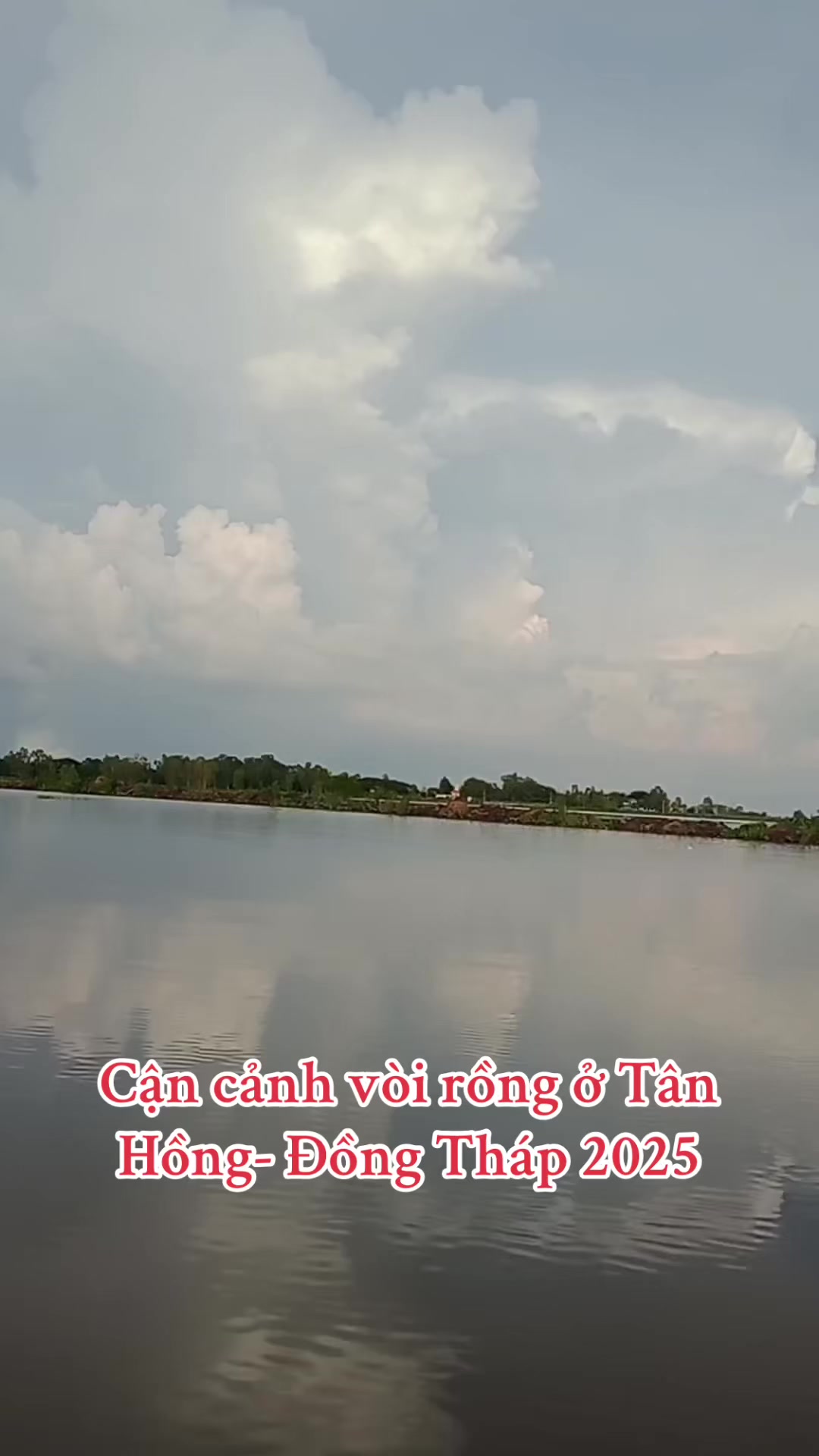 @Bí