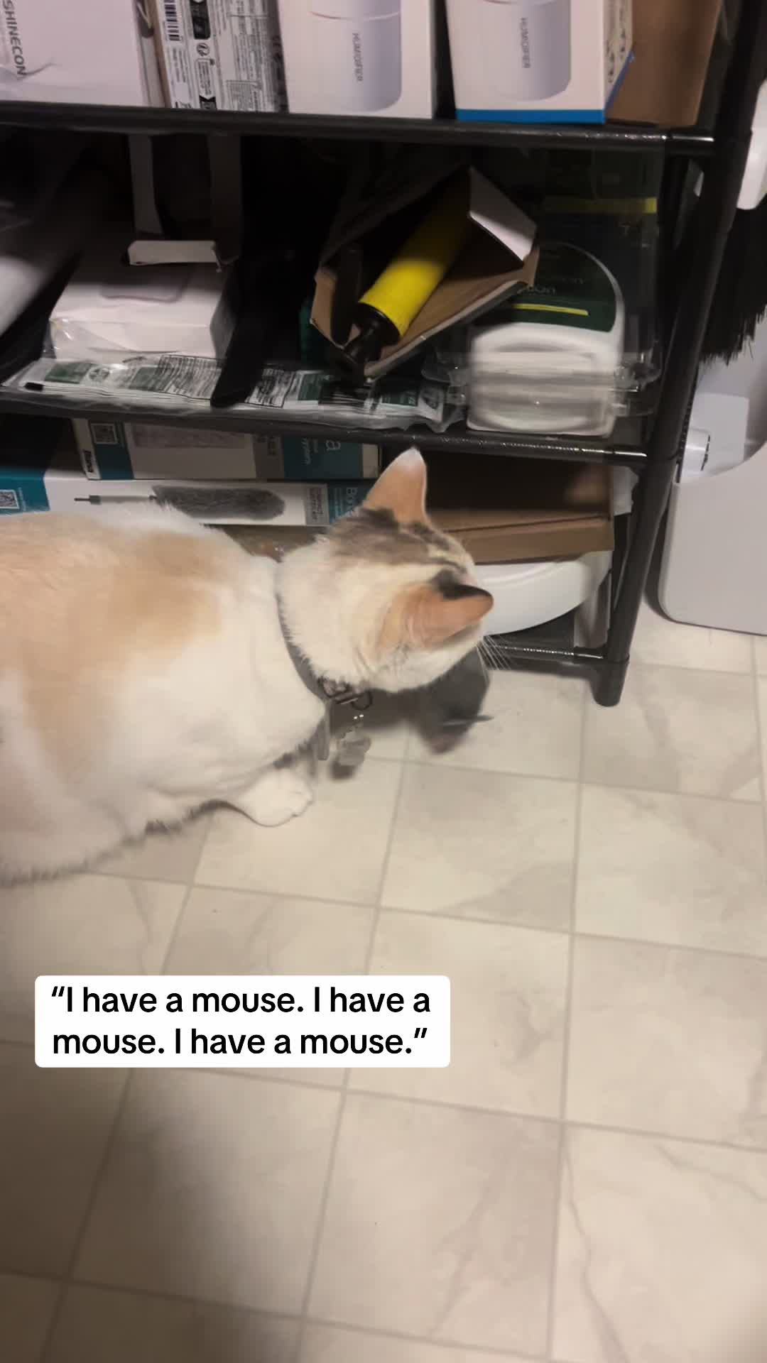 @Toni