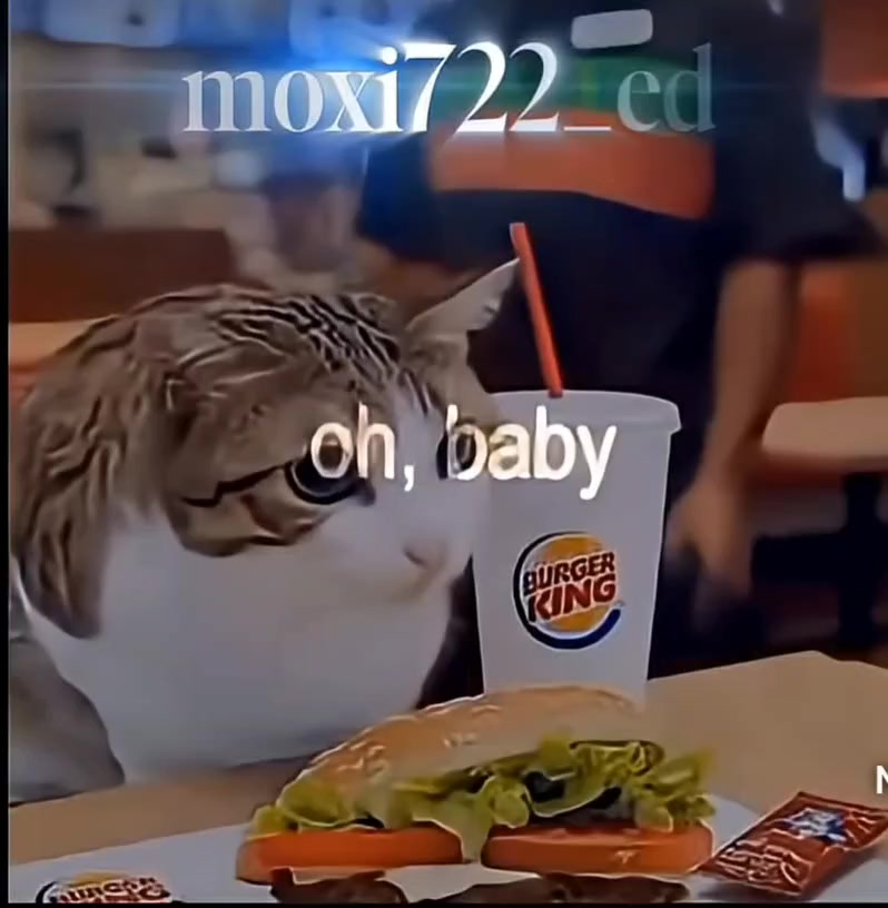 @🔥Meowsito❤️