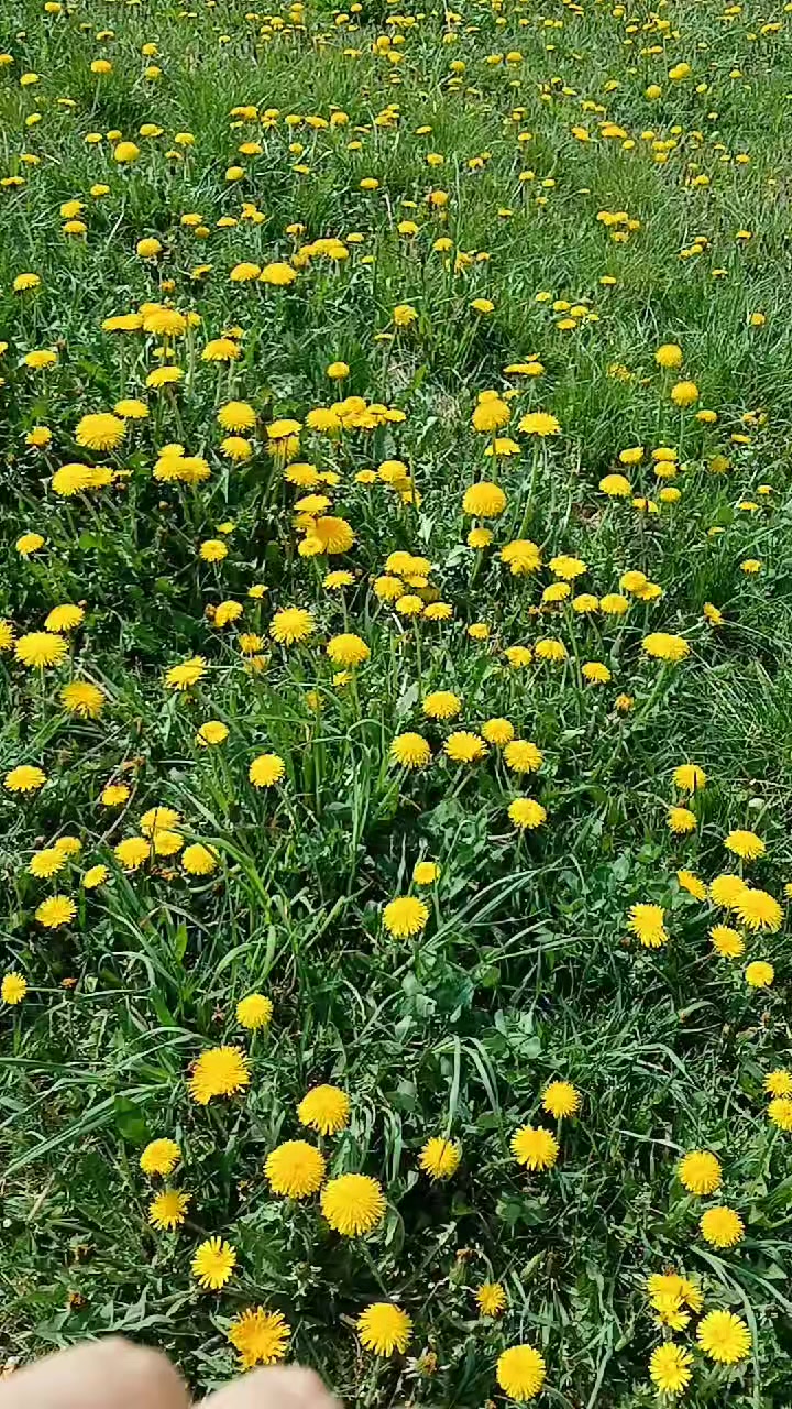 @💞𝑮𝑼𝑴𝑹𝒀𝑱𝑨𝑵💞