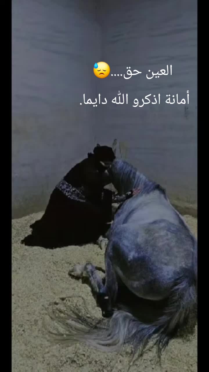 @الفارسة الملثمة 🐎🥷