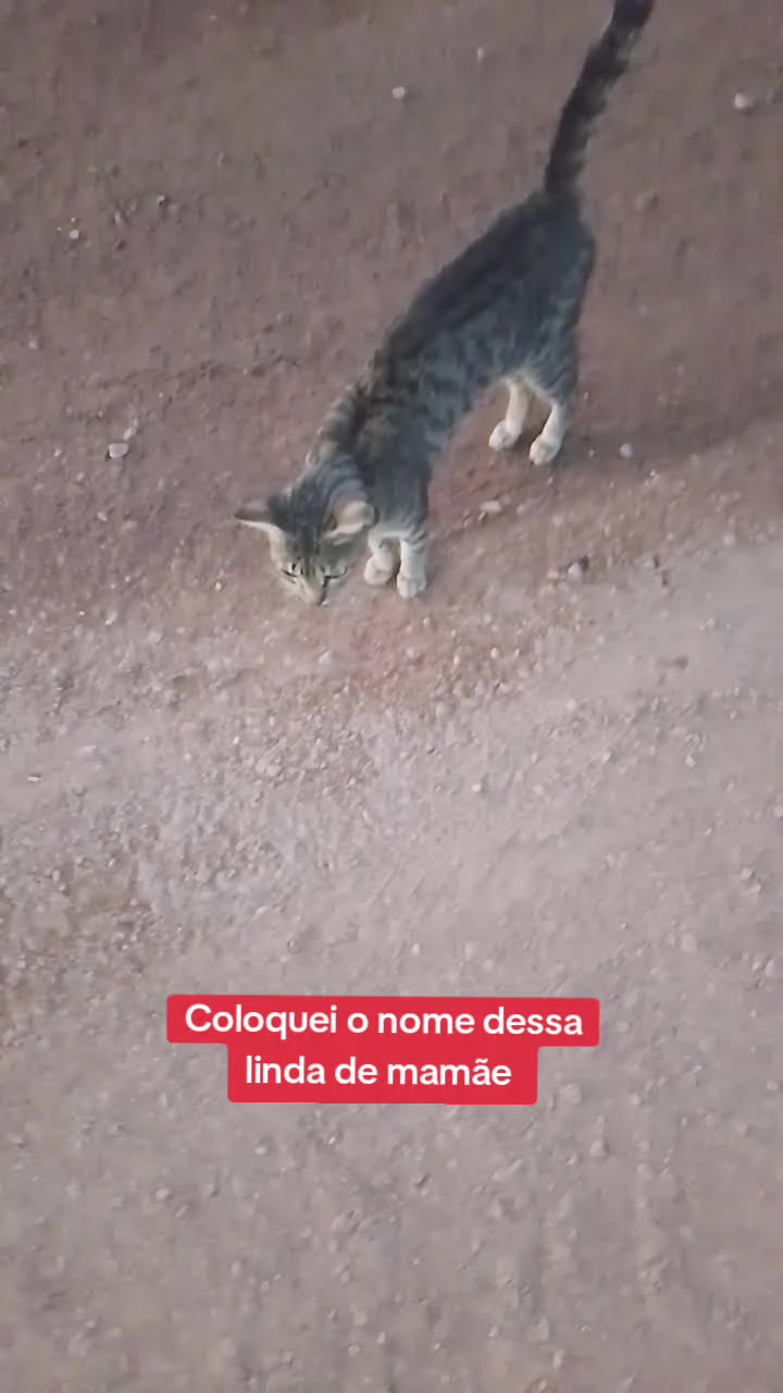 @Noticiando Brasil e Mundo