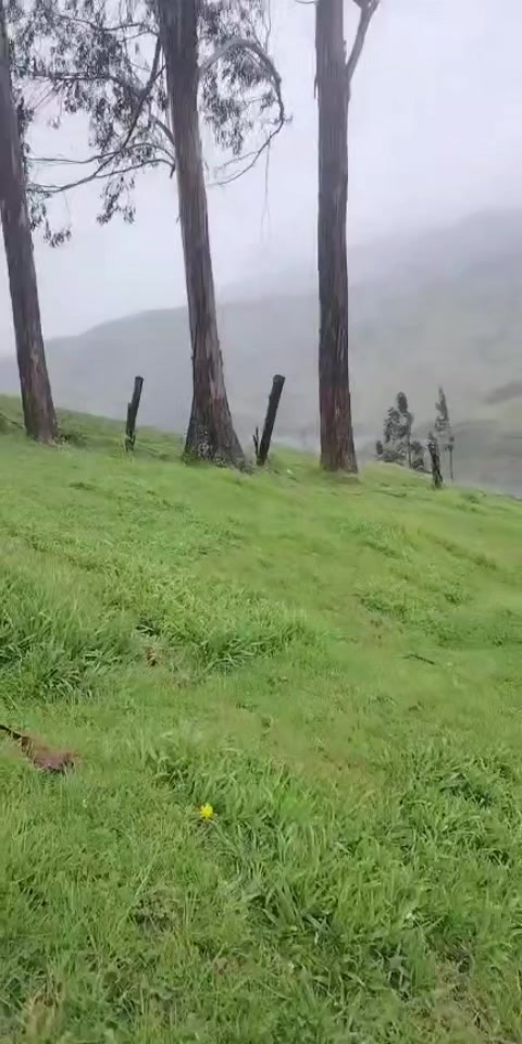 @albarito