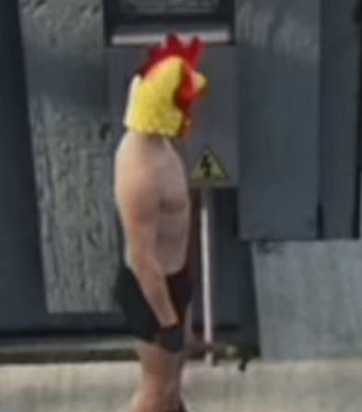 @atom_chicken