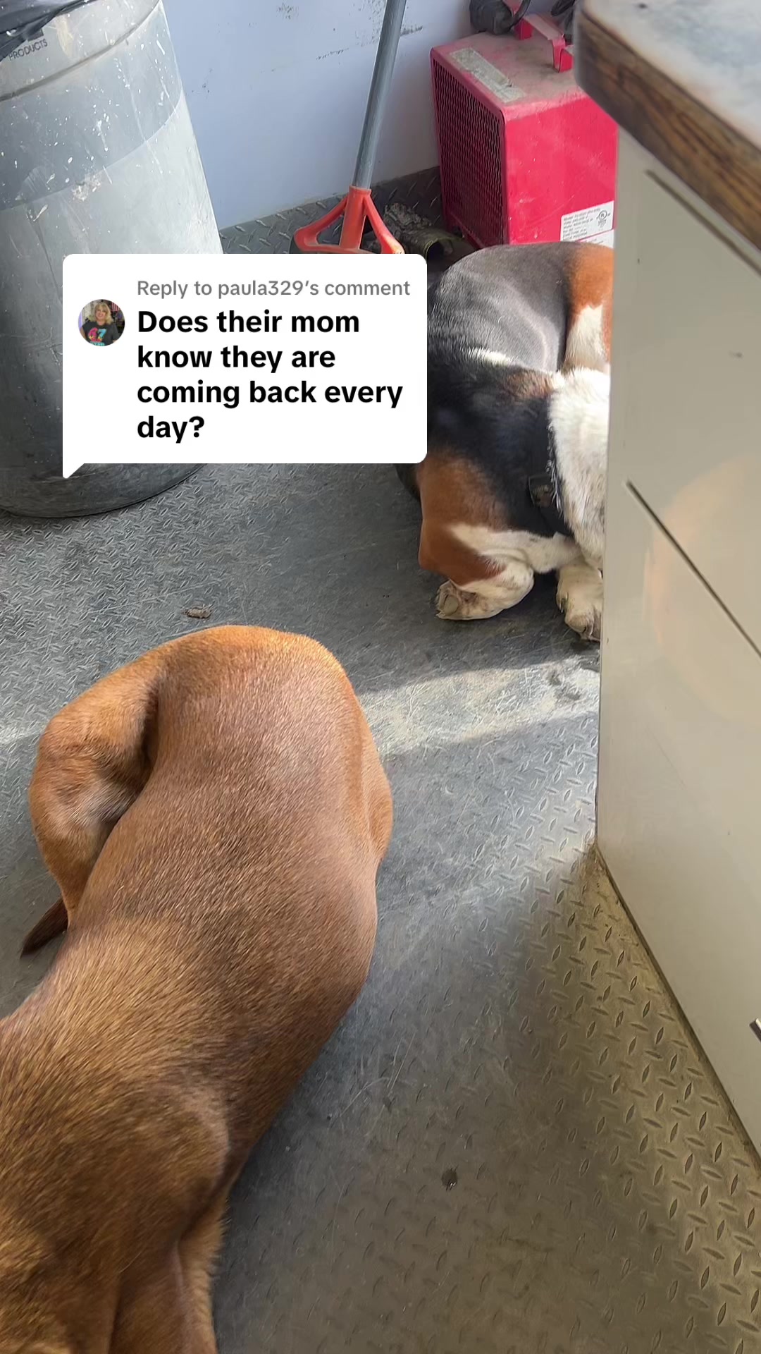 @NOTfunnyman