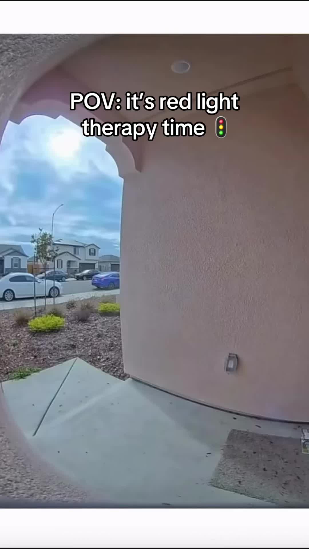 @SavlahPets