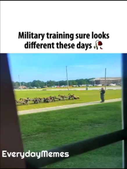 @EverydayMemes
