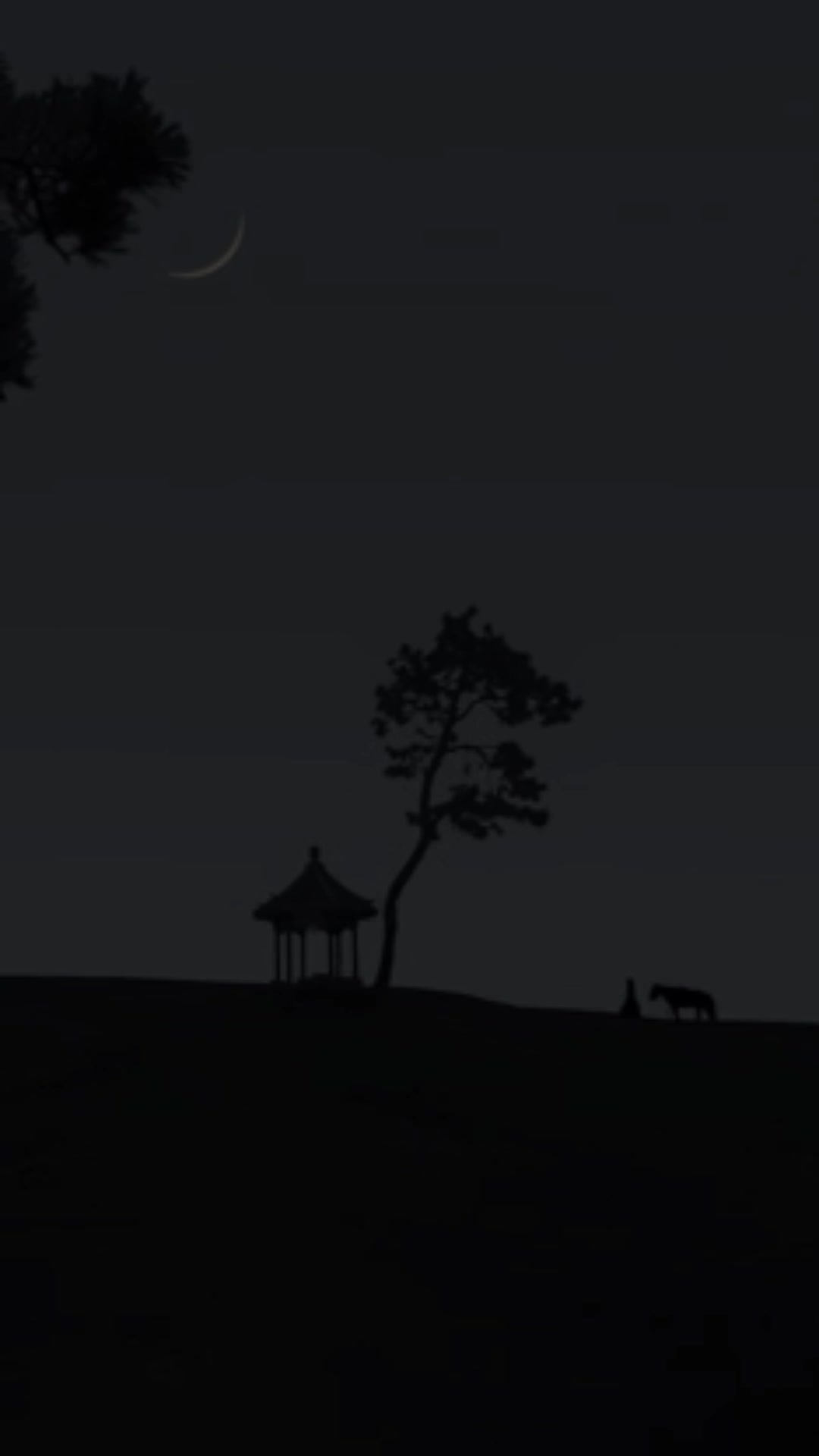 @𝗠𝗨𝗦𝗔𝗔𝗟𝗜𝗗