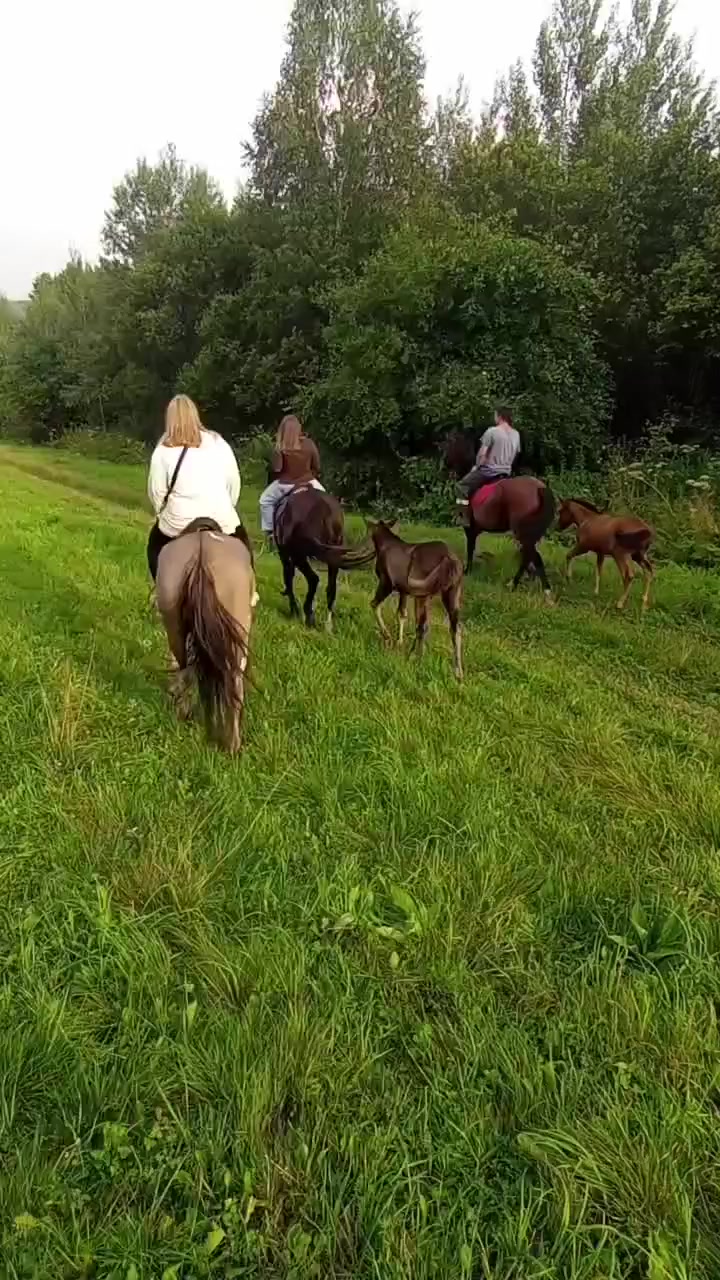 @Бурмакина Дарья