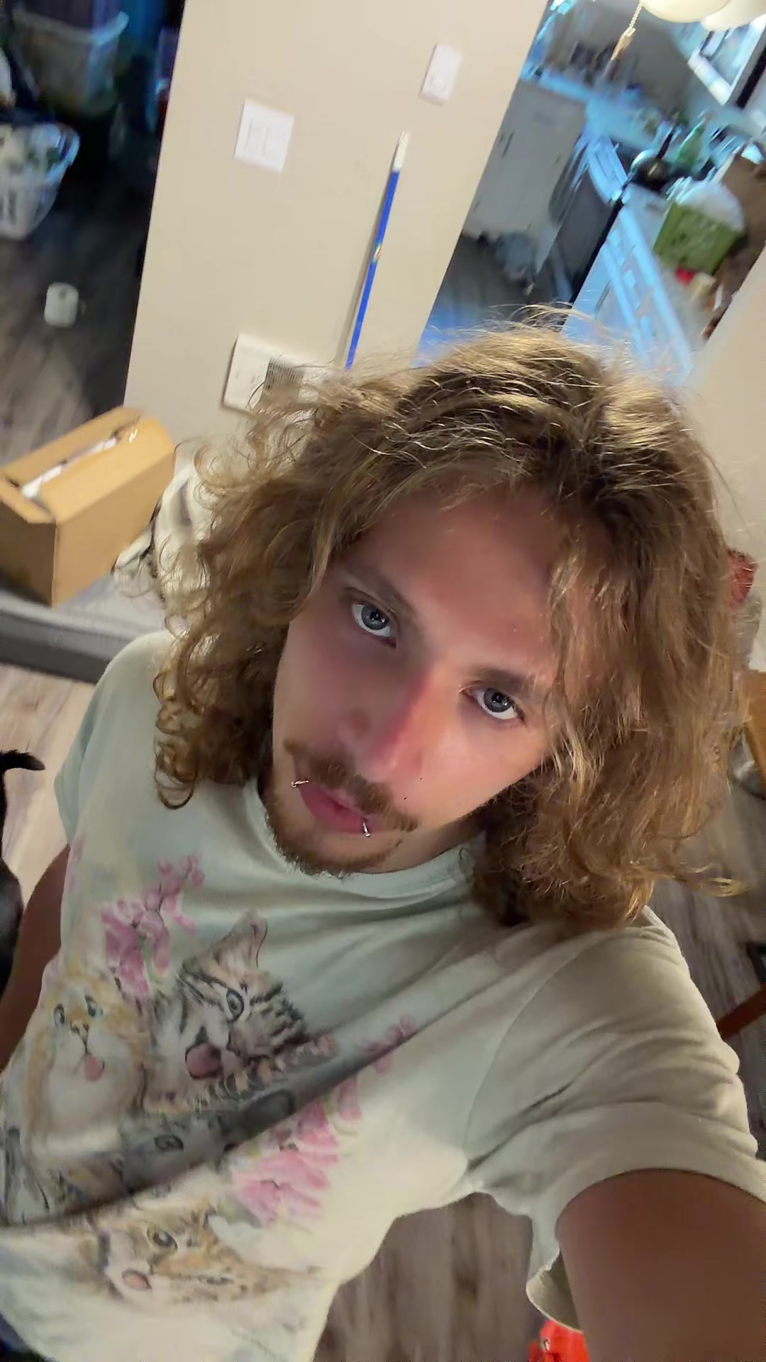 @connertroutman