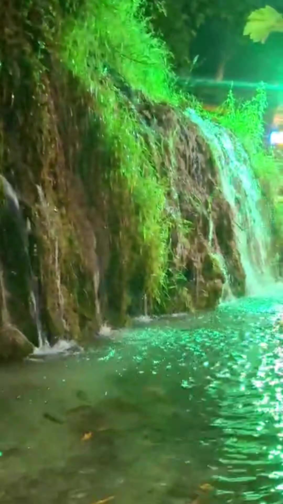 @sultan Şen
