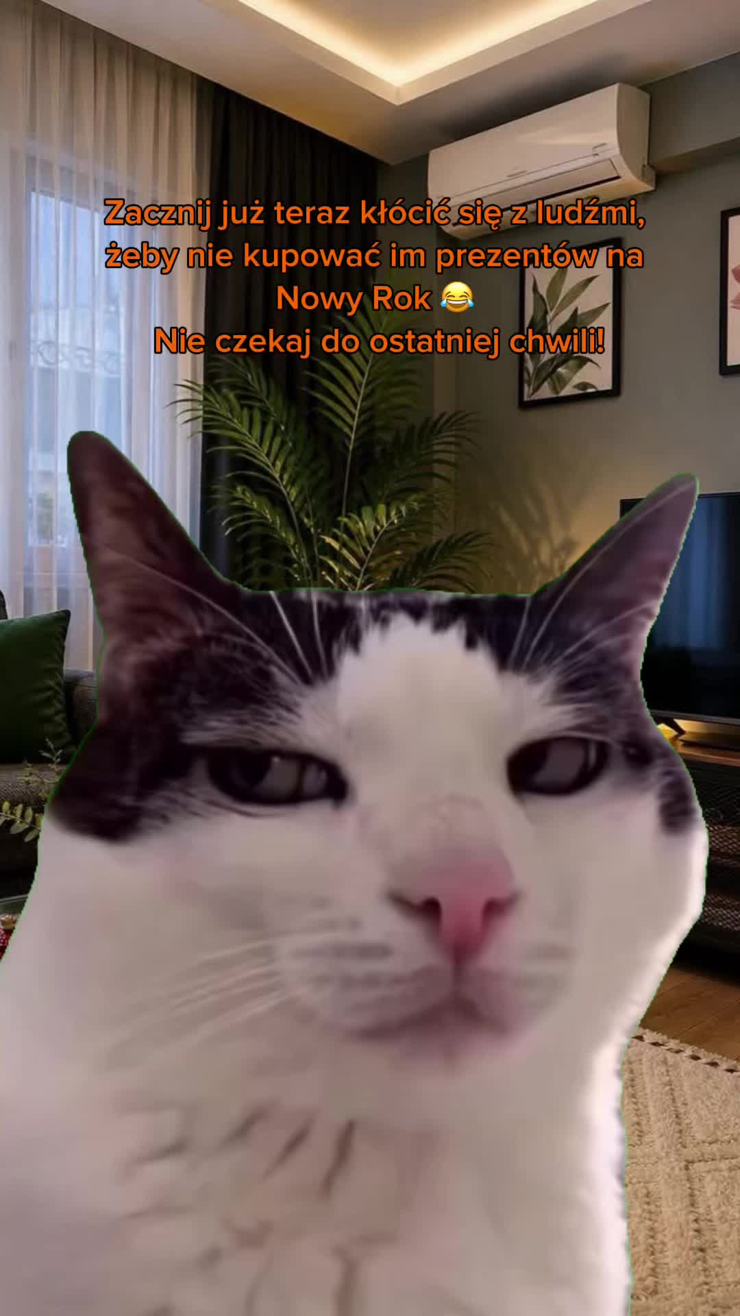 @Vita Nowak