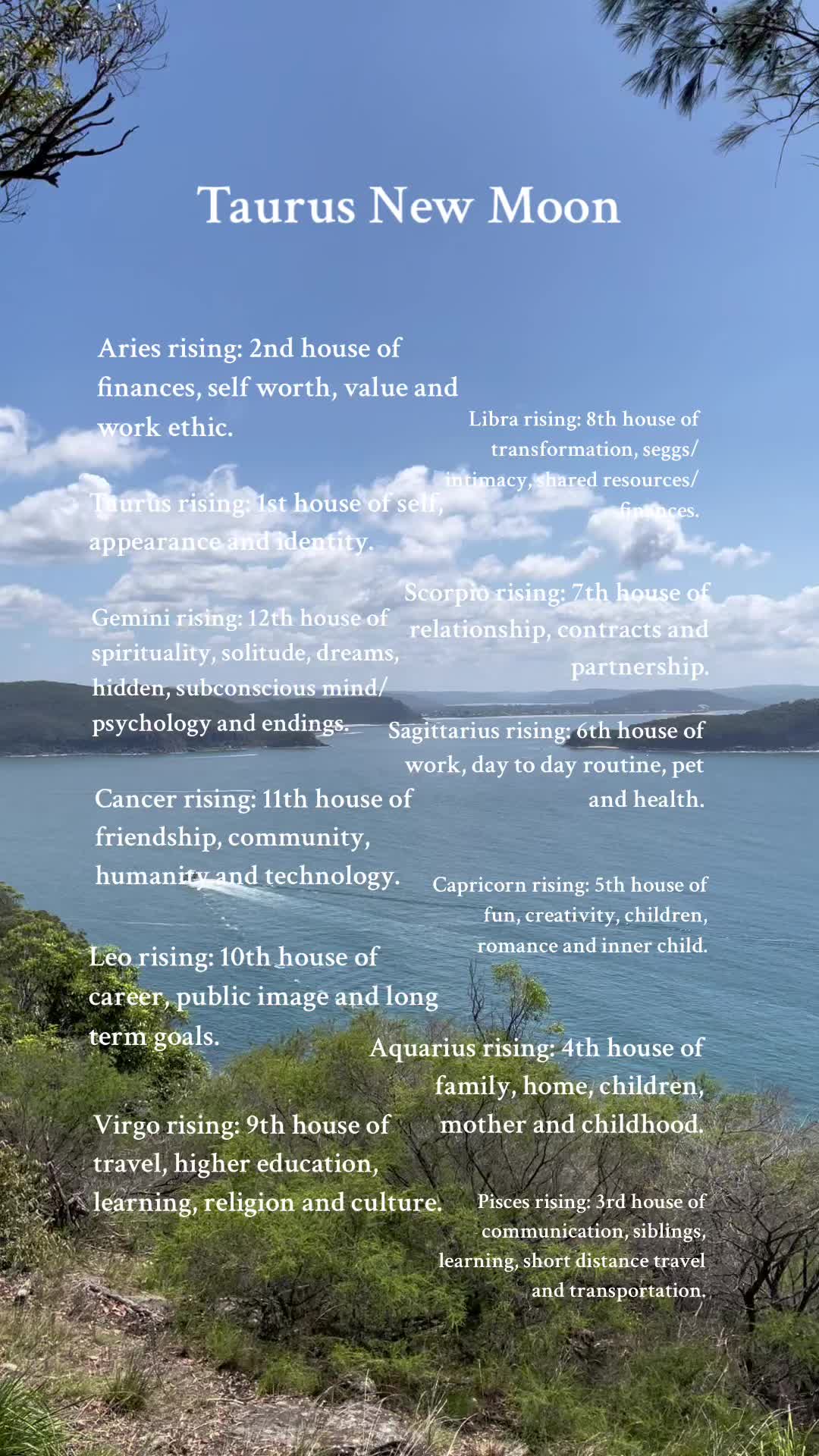 @waterbearer.astrology