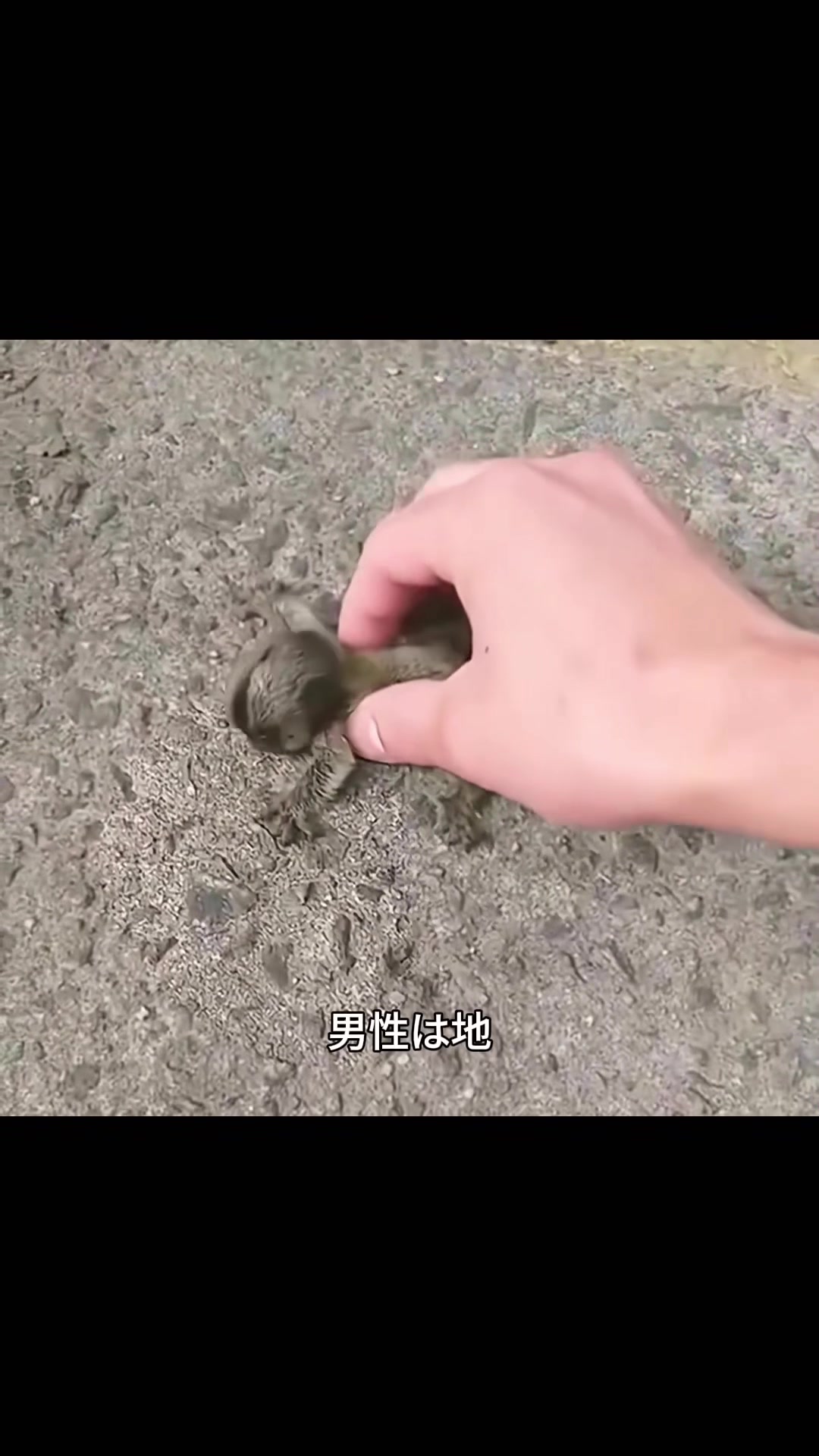 @斎藤アウトドア