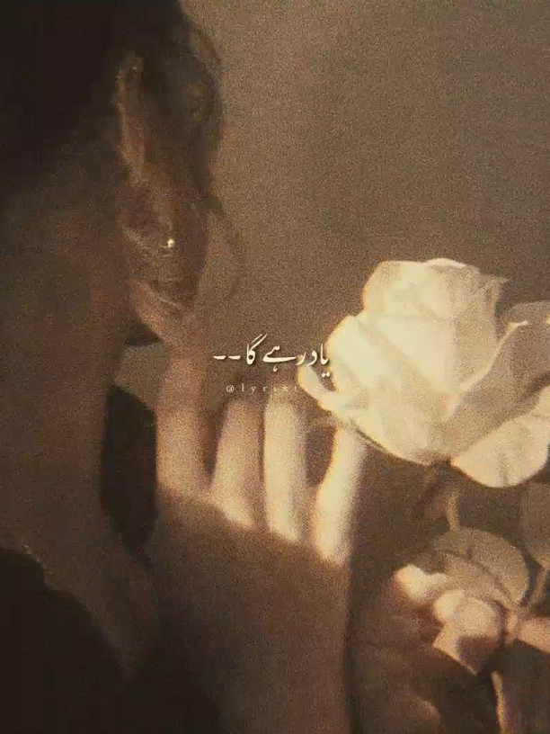 @˙.◌˚𝐋𝐲𝐫𝐢𝐱𝐭𝐢𝐜🍂.•
