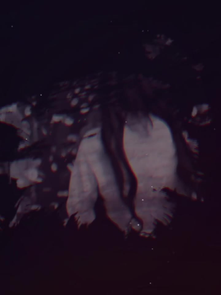 @𝑍𝐲𝐲