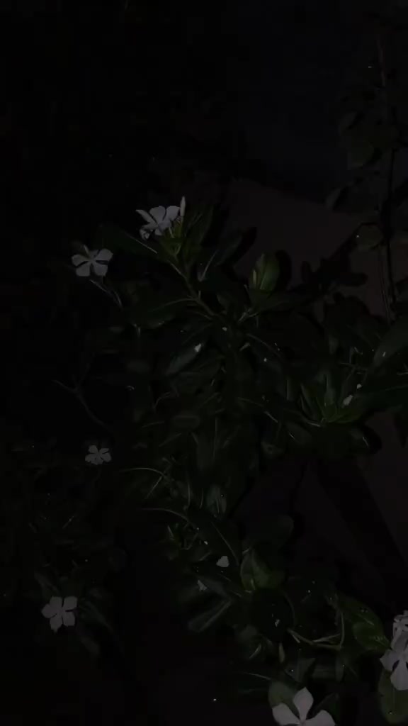 @Tayyab Khan