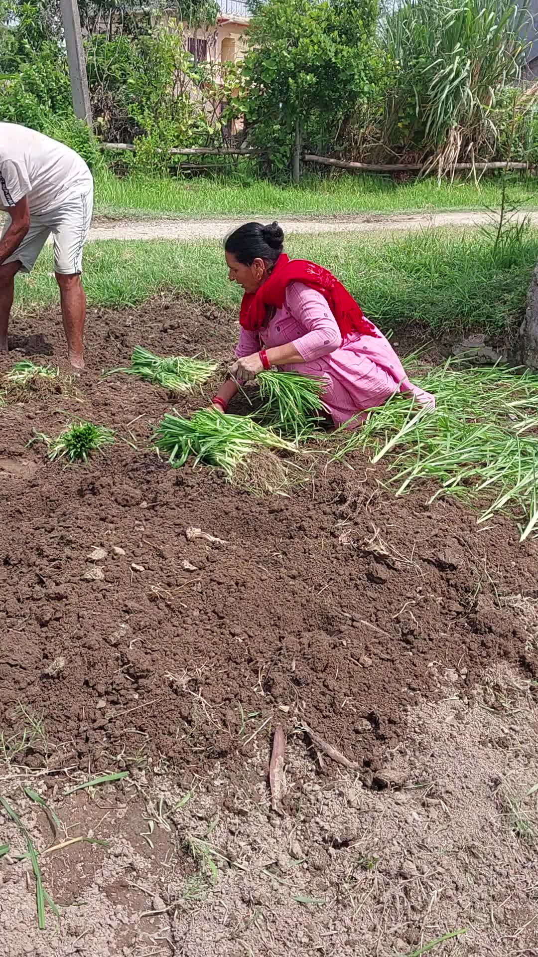 @rukamayaneupane