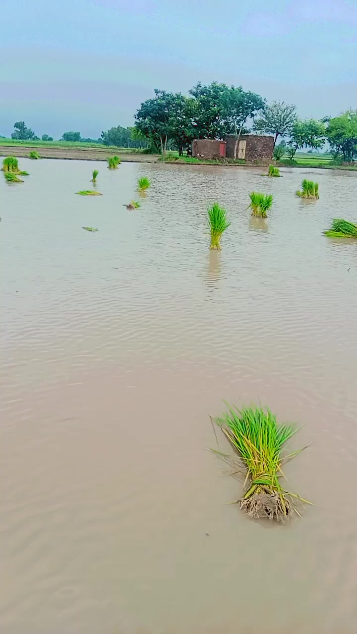 @Imran Ali
