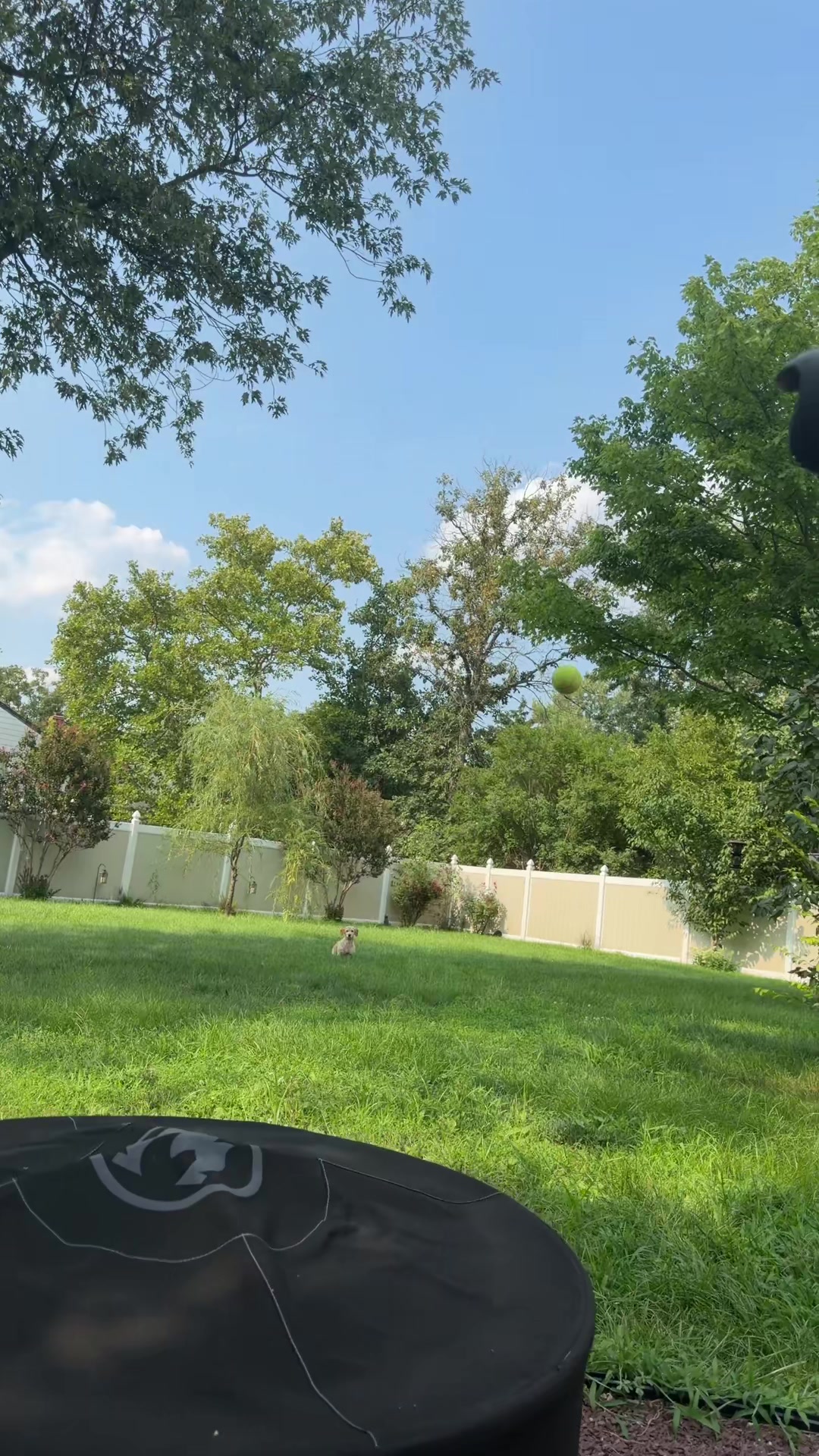 @jackie
