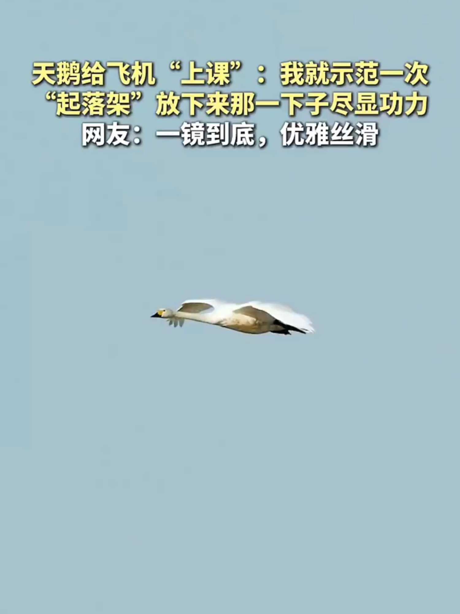 @闽南风~