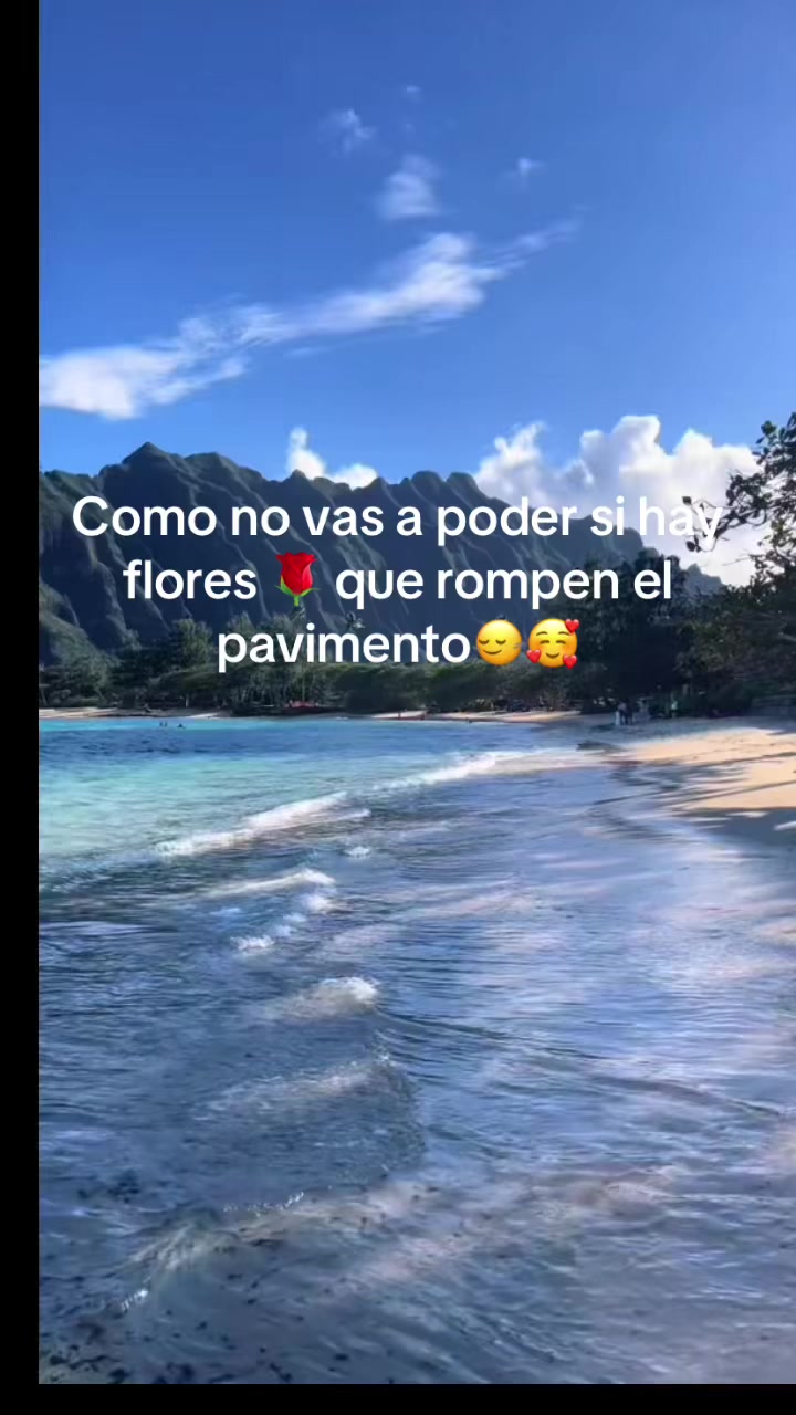 @Angela A.S