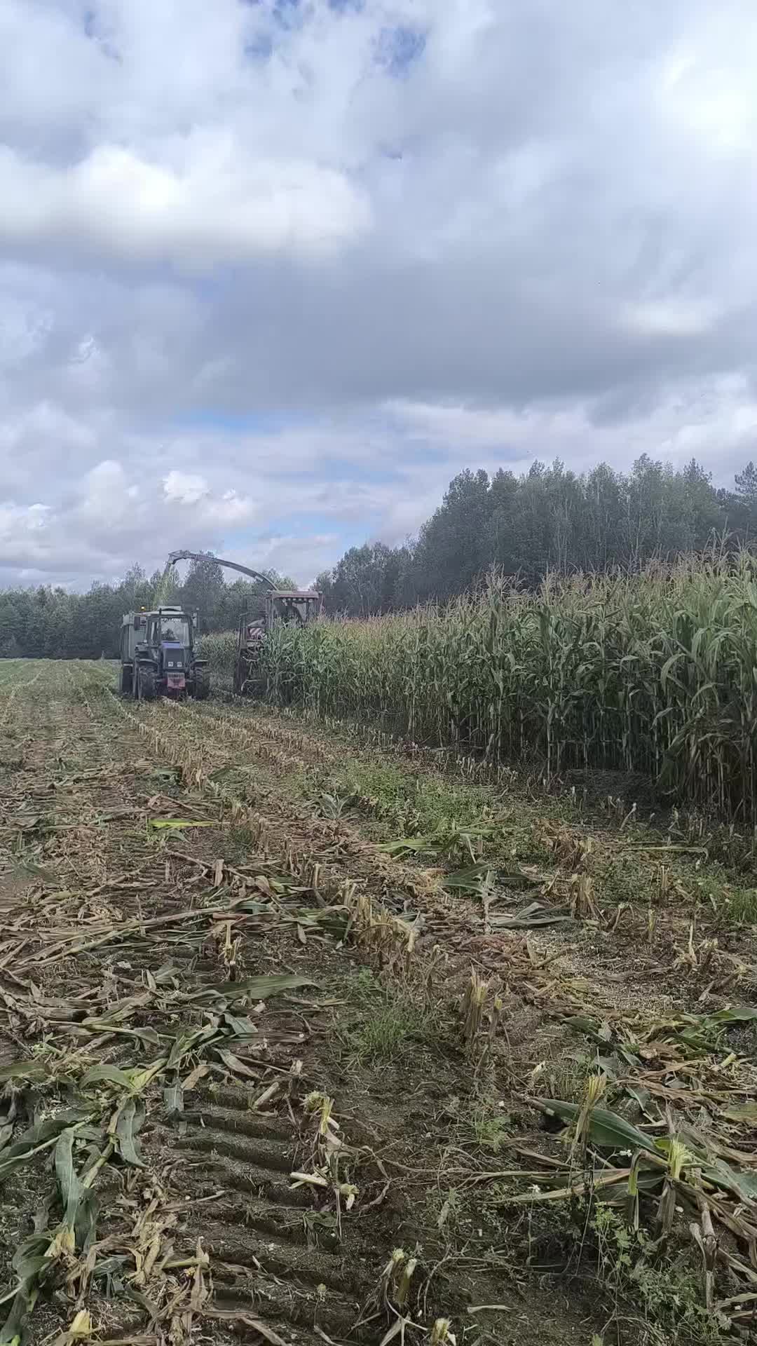 @🚜ⲇяⲇьⲕᥲ ᥲⲏⲧ𐔖ⲏ🚜