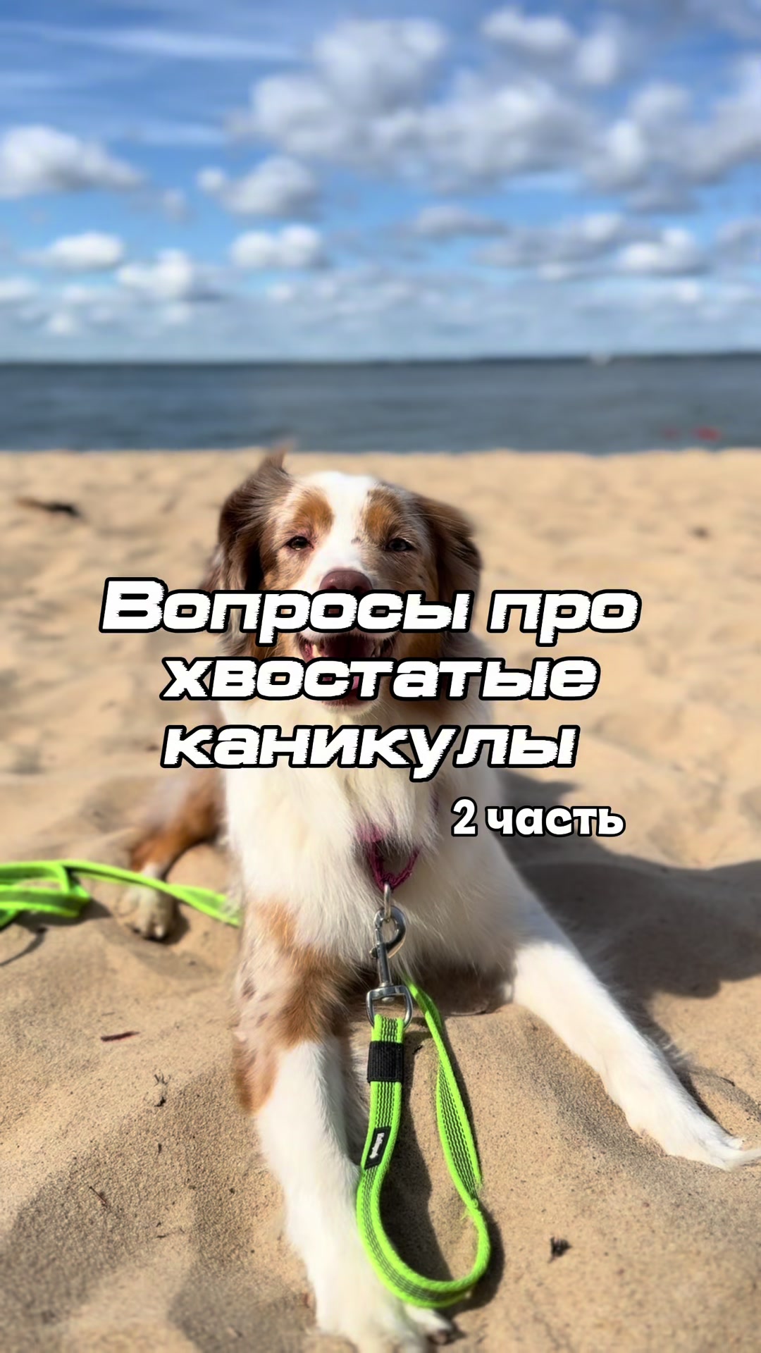 @𝚃𝚠𝚒𝚡