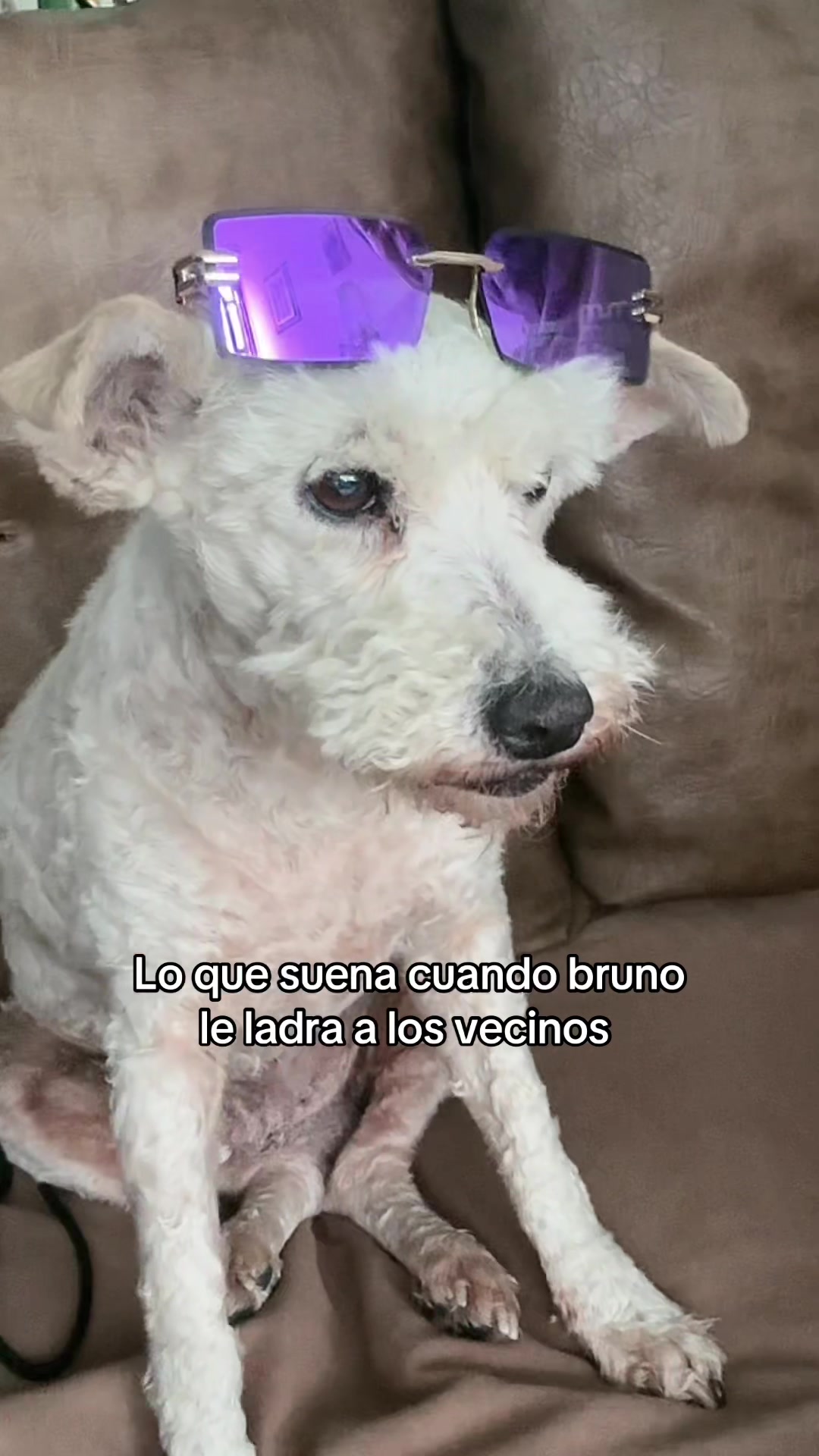 @Arbeysito 💎
