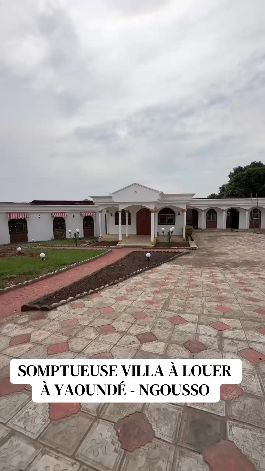 @DINO~IMMO~237🇨🇲🇨🇲