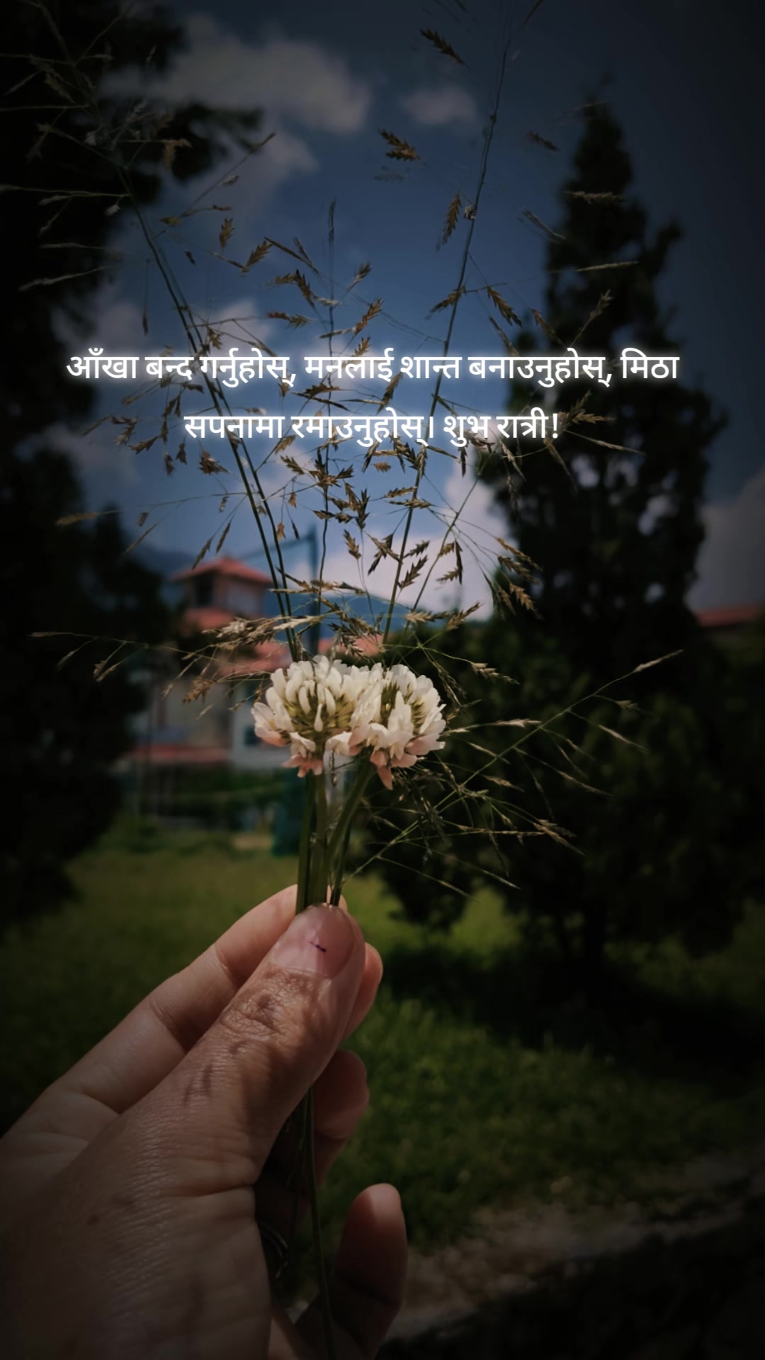 @Niyati Chhetri