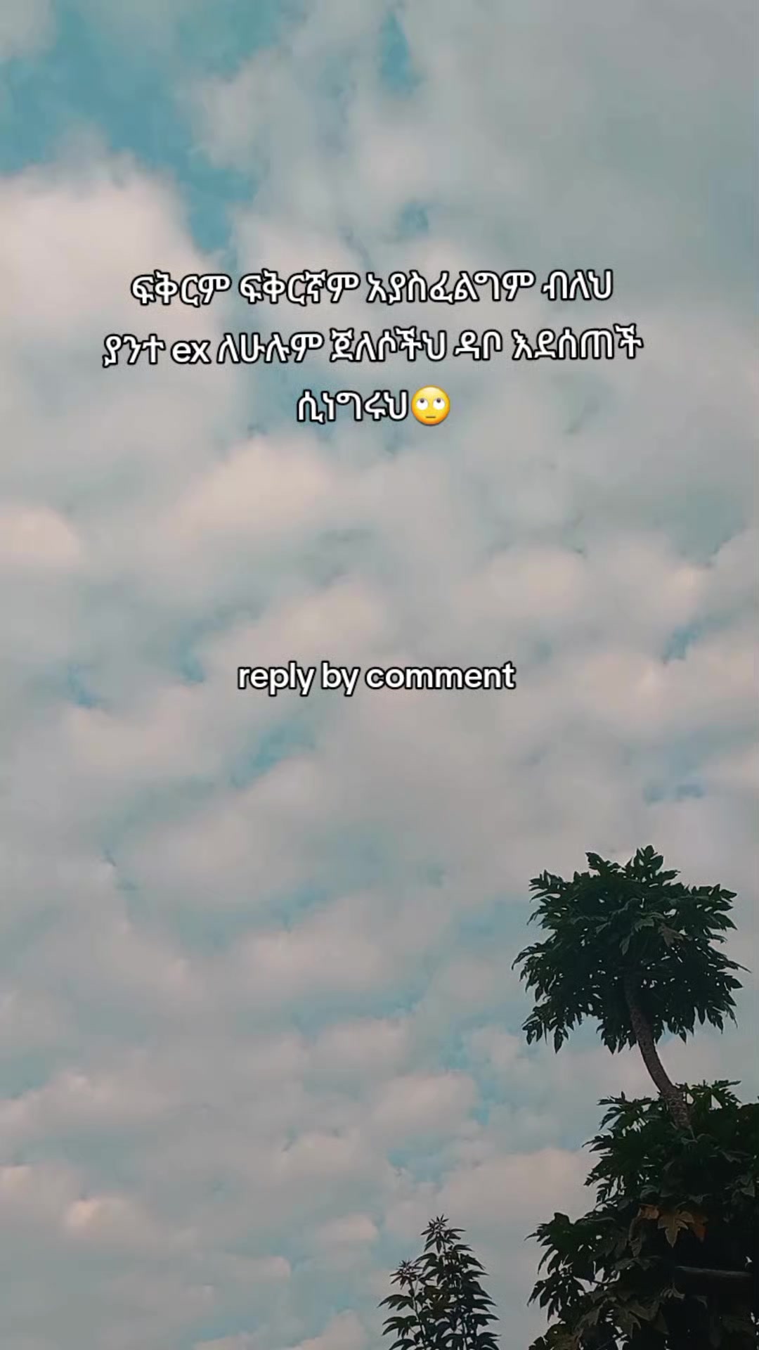 @ᴢᴏʟᴀ✧
