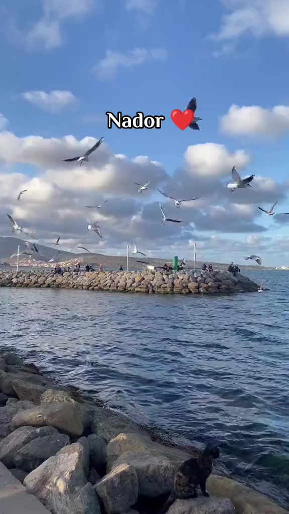 @youssef 46