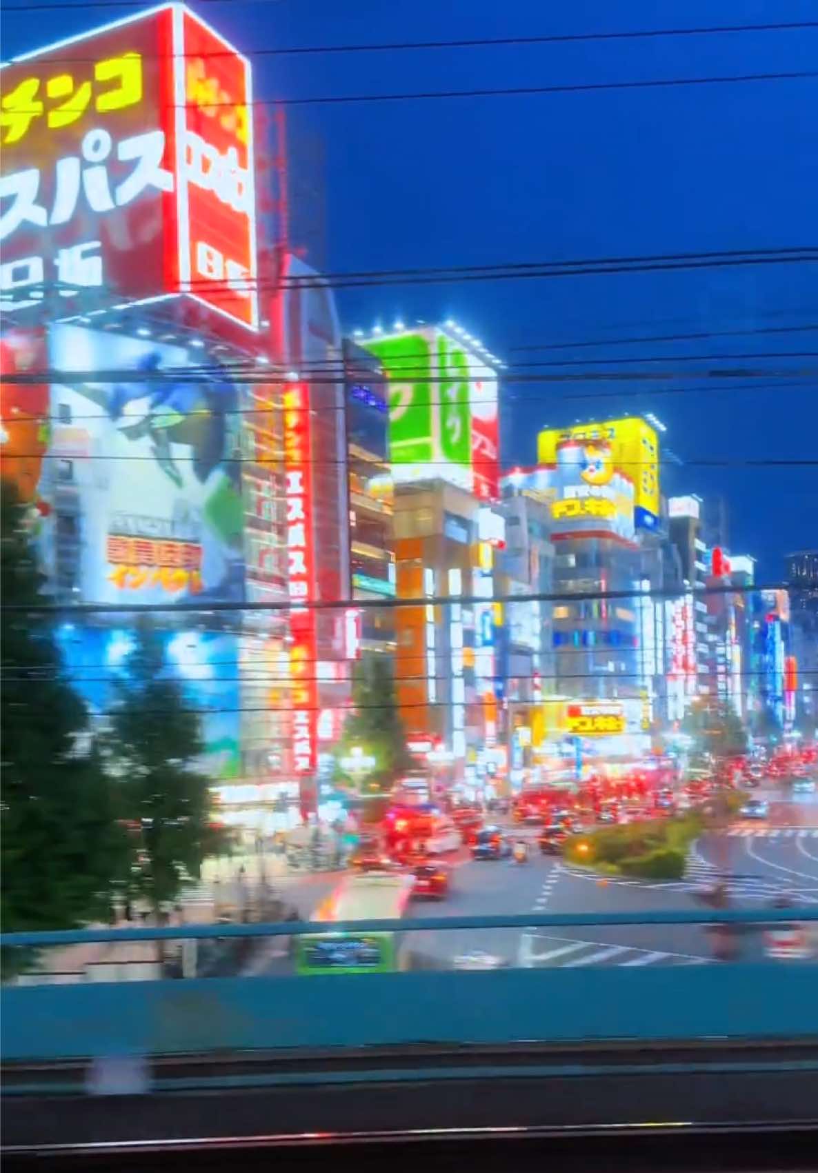 @Fumi【旅と絶景の記録】