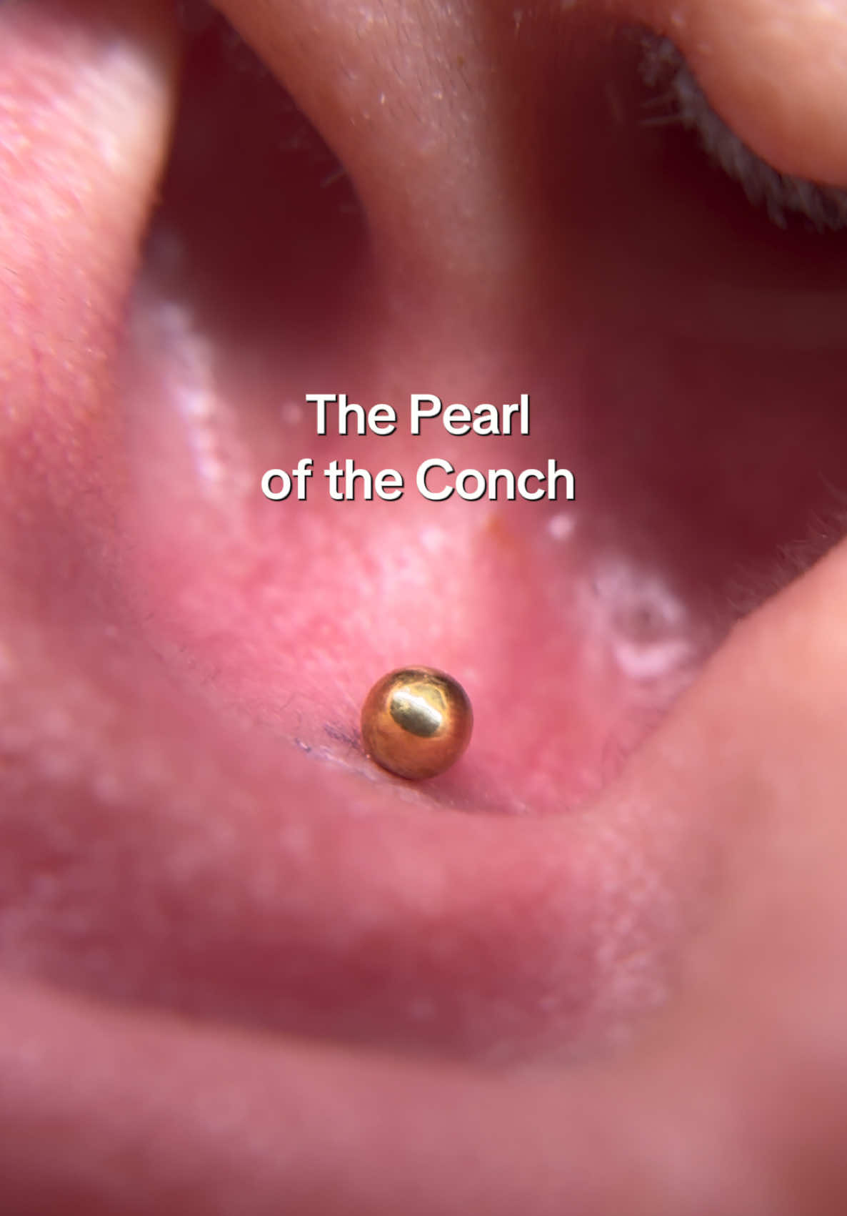 @PiercerSol | SATX Piercings