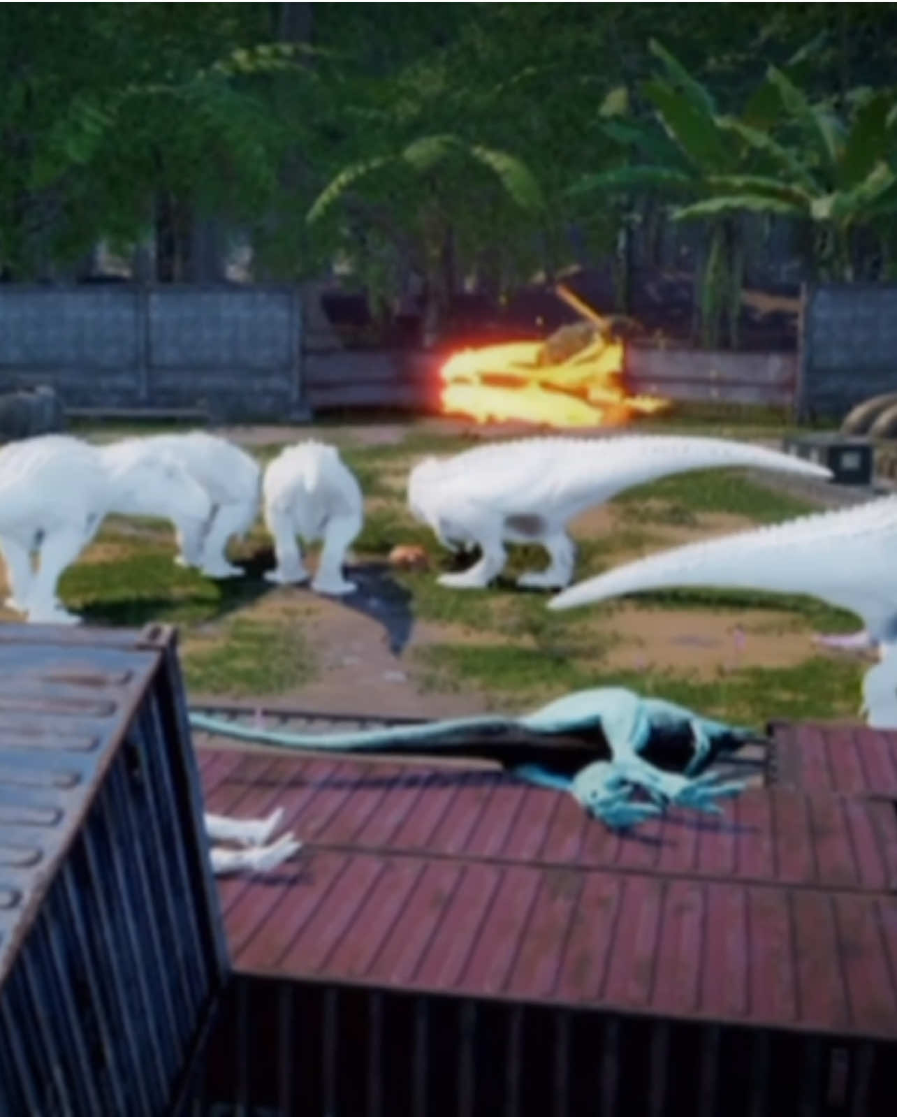 @Heni Đảo Khủng Long 🦖