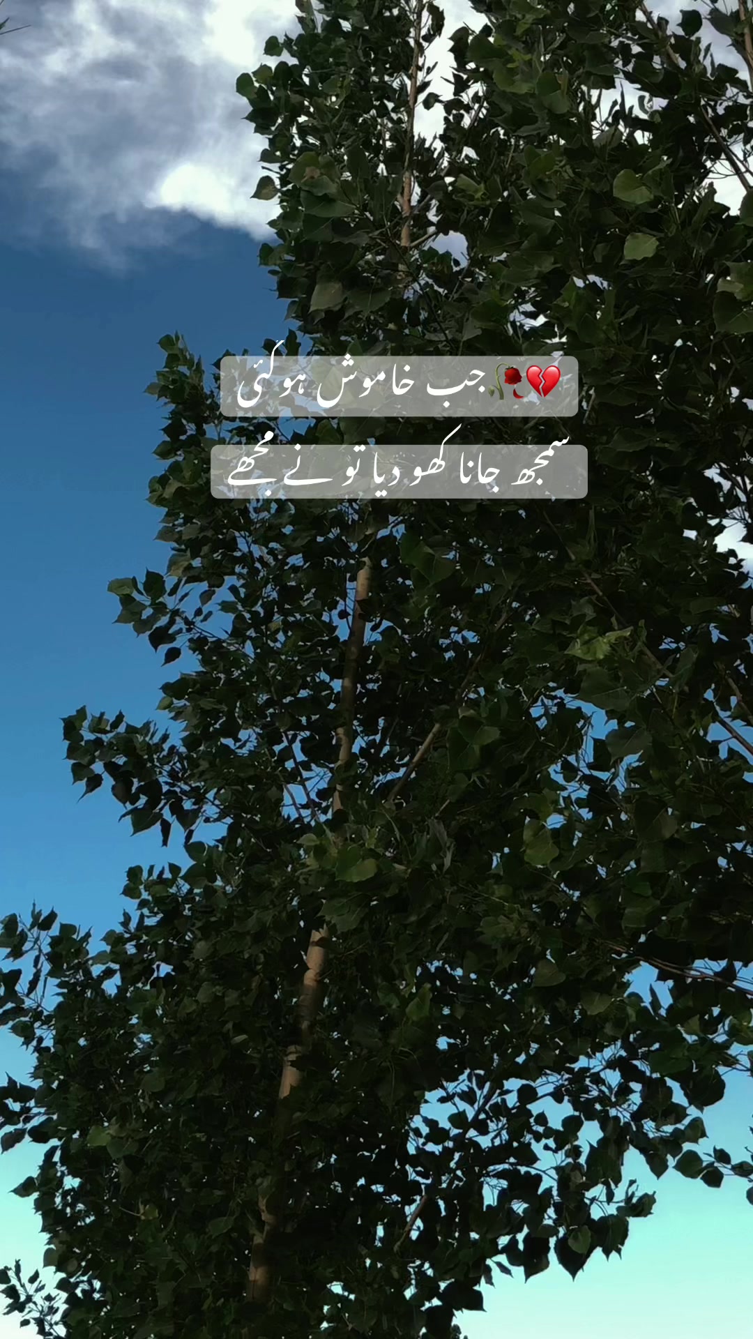@𓆩ملکہ𓆪👑