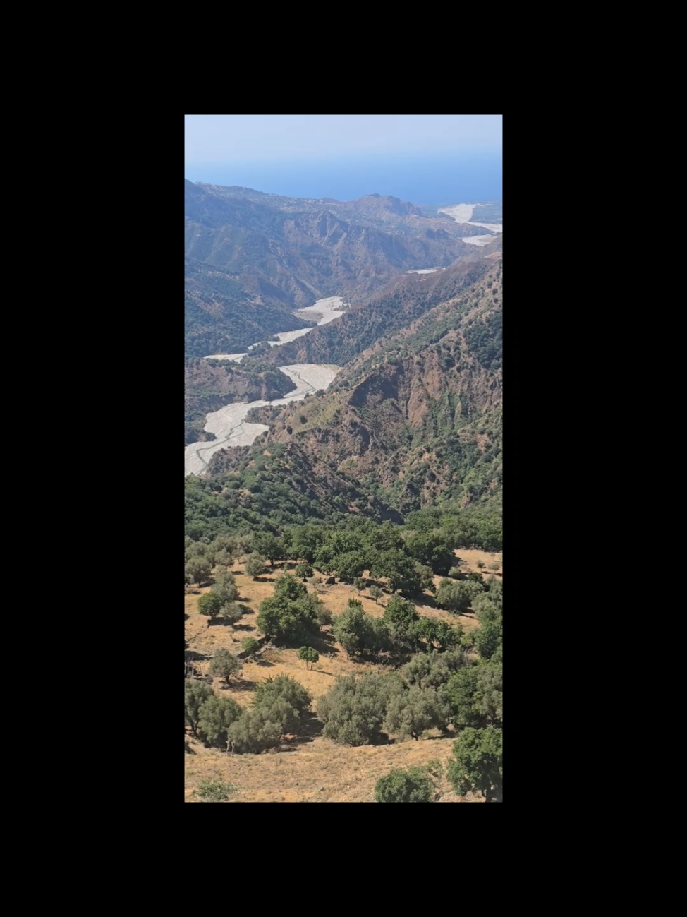 @Luigi Palamara