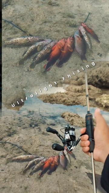 @FaridSigar🎣