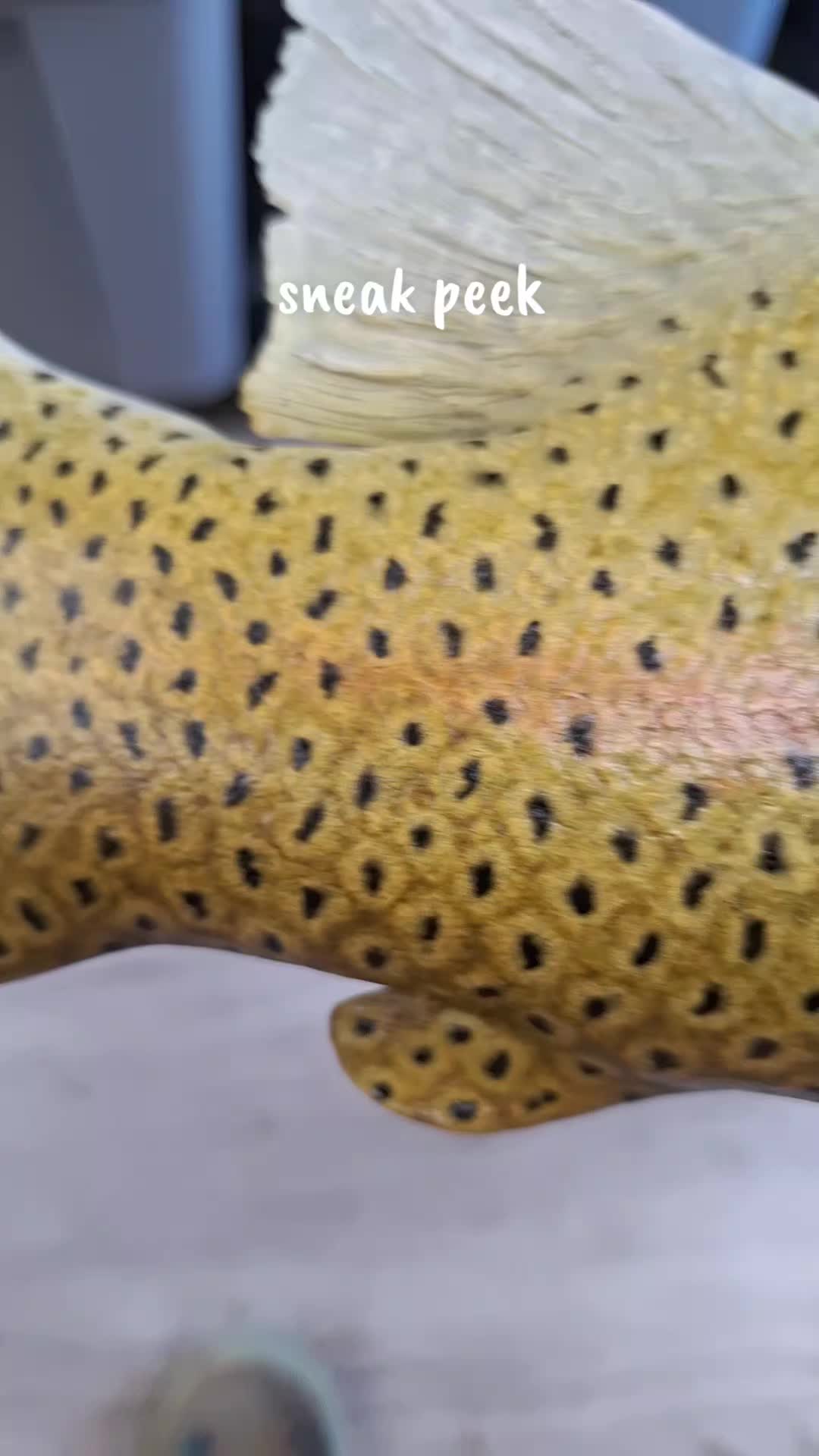 @SouthernScalesFishTaxi